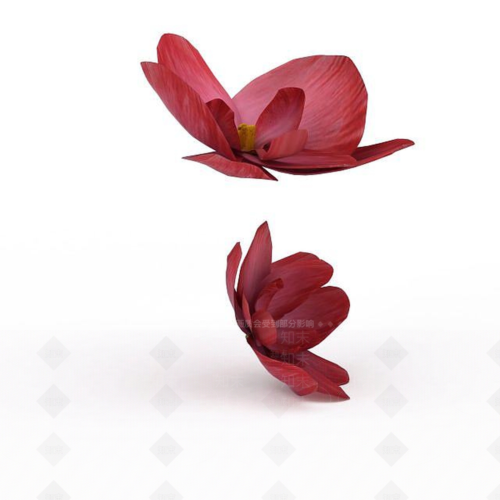 现代荷花3D模型下载【ID:1199892484】