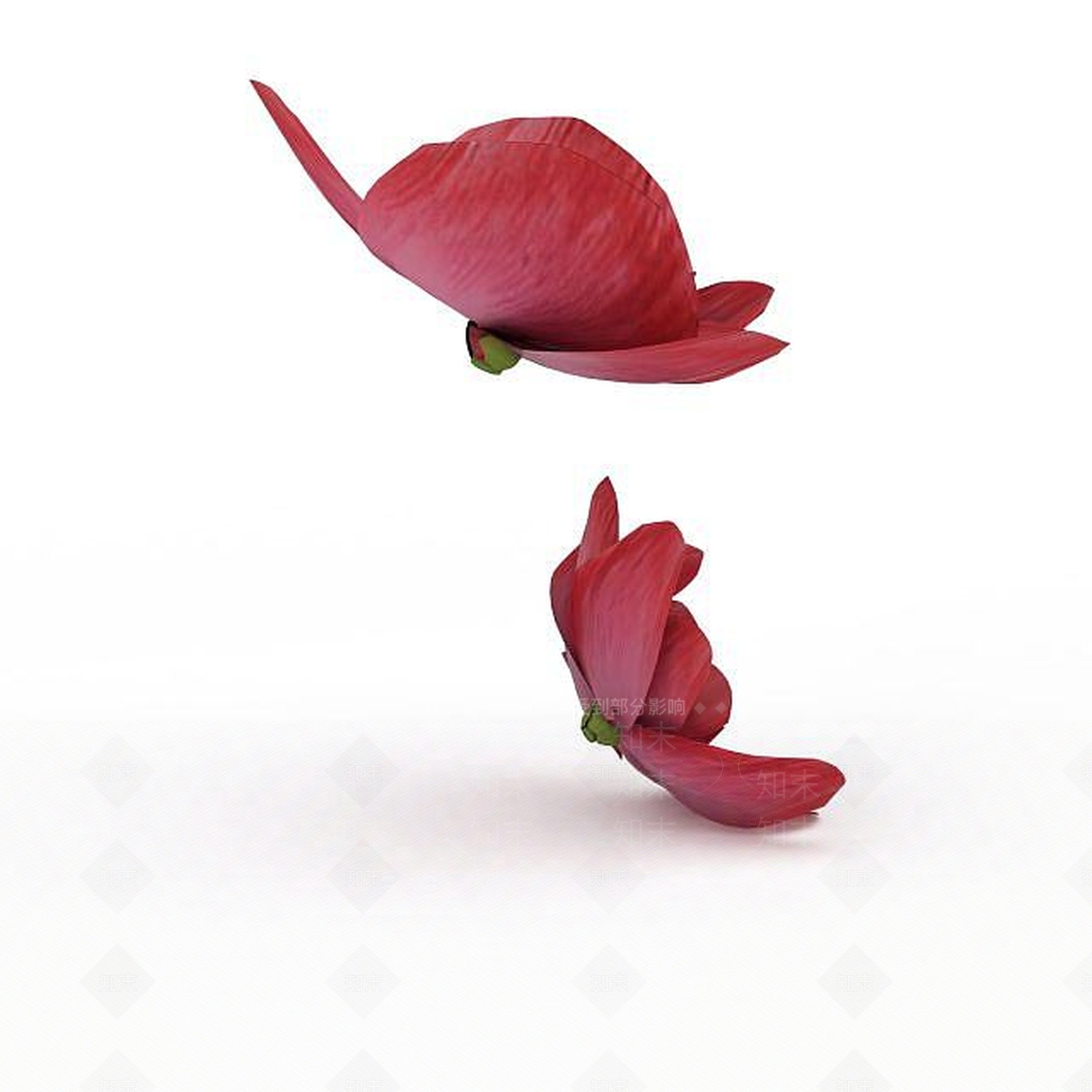 现代荷花3D模型下载【ID:1199892484】