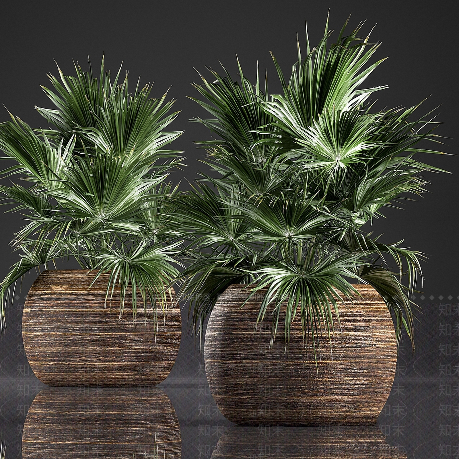 盆栽3D模型下载【ID:1199897487】