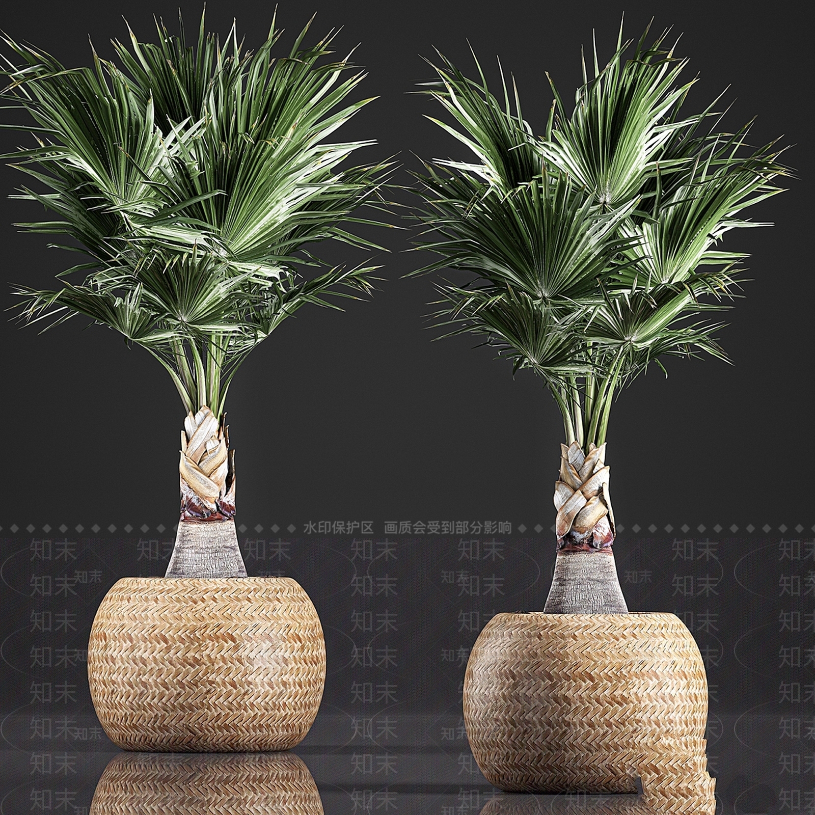 盆栽3D模型下载【ID:1199897611】