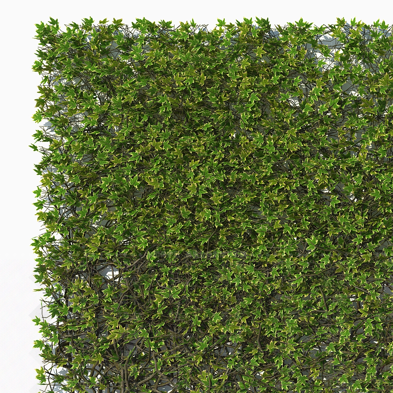 绿植墙3D模型下载【ID:1199919238】