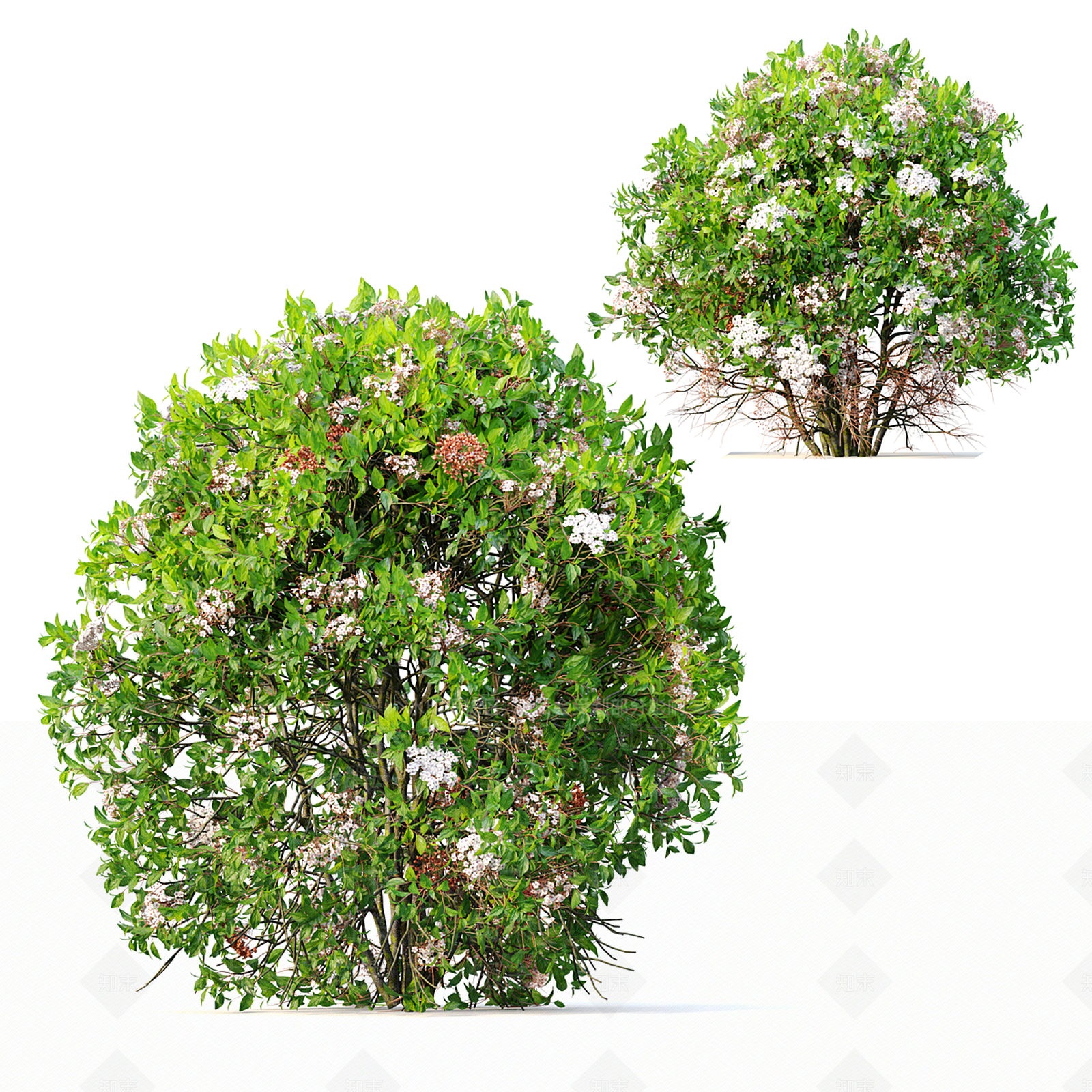 灌木3D模型下载【ID:1199919450】