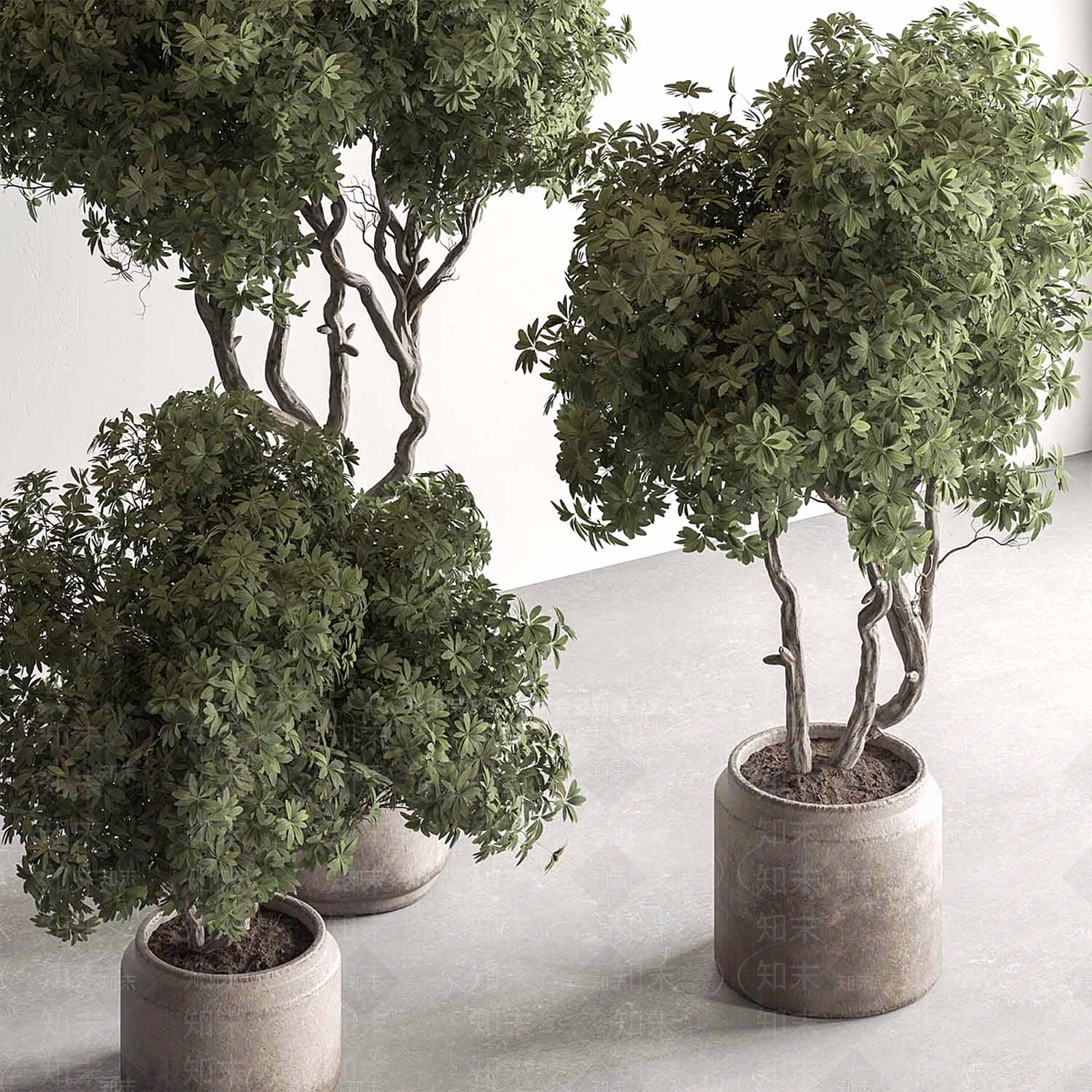 盆栽3D模型下载【ID:1199919402】