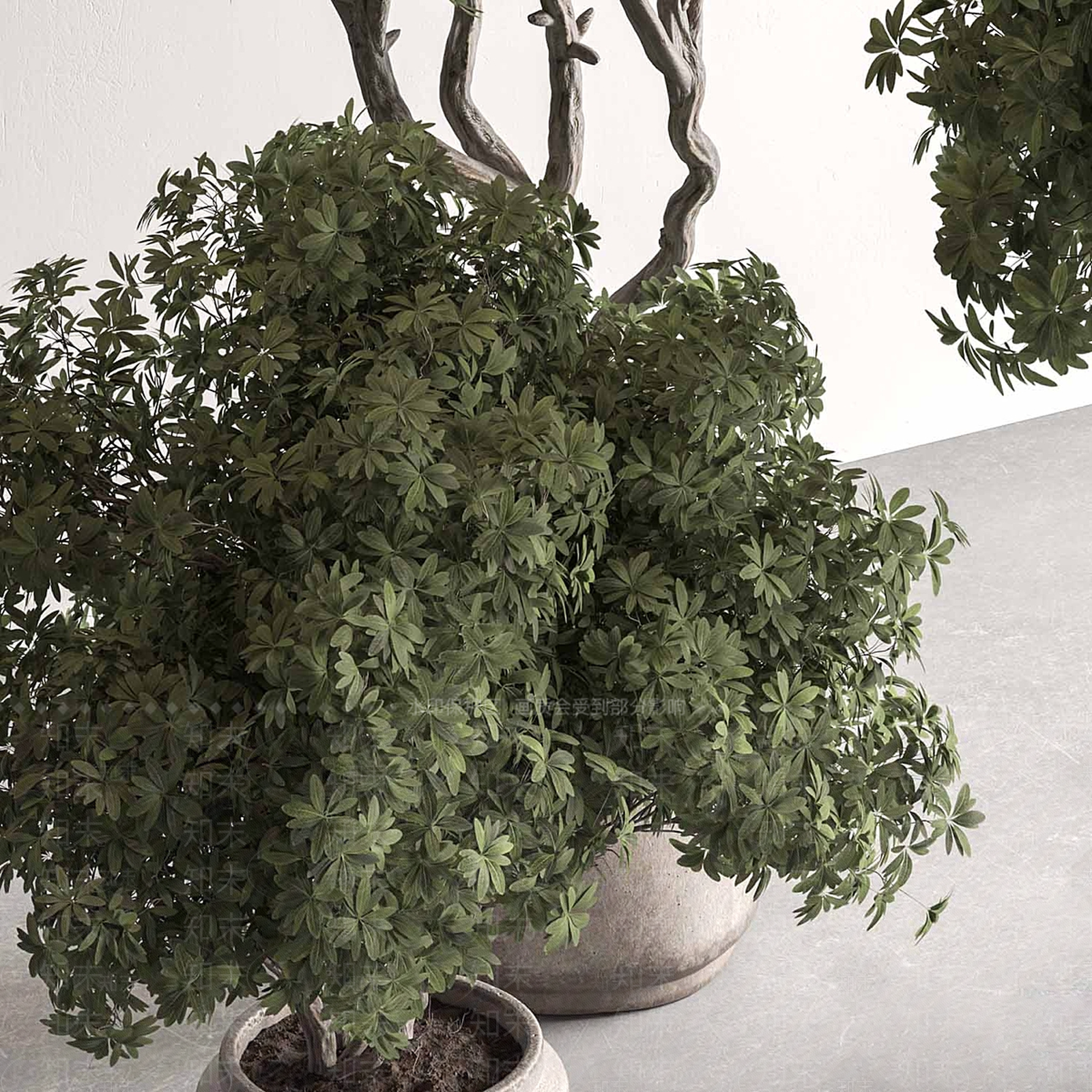 盆栽3D模型下载【ID:1199919402】