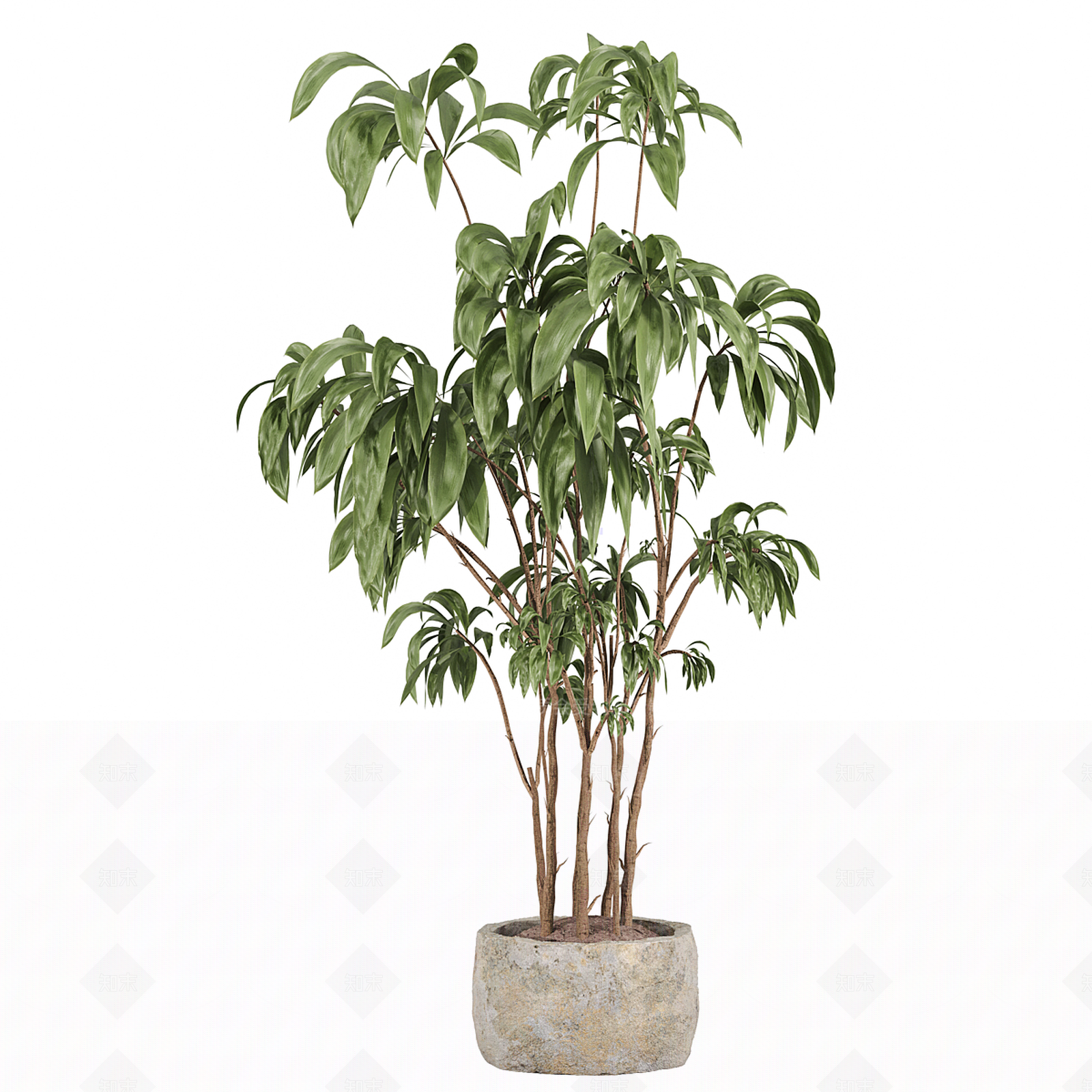 盆栽3D模型下载【ID:1199919407】