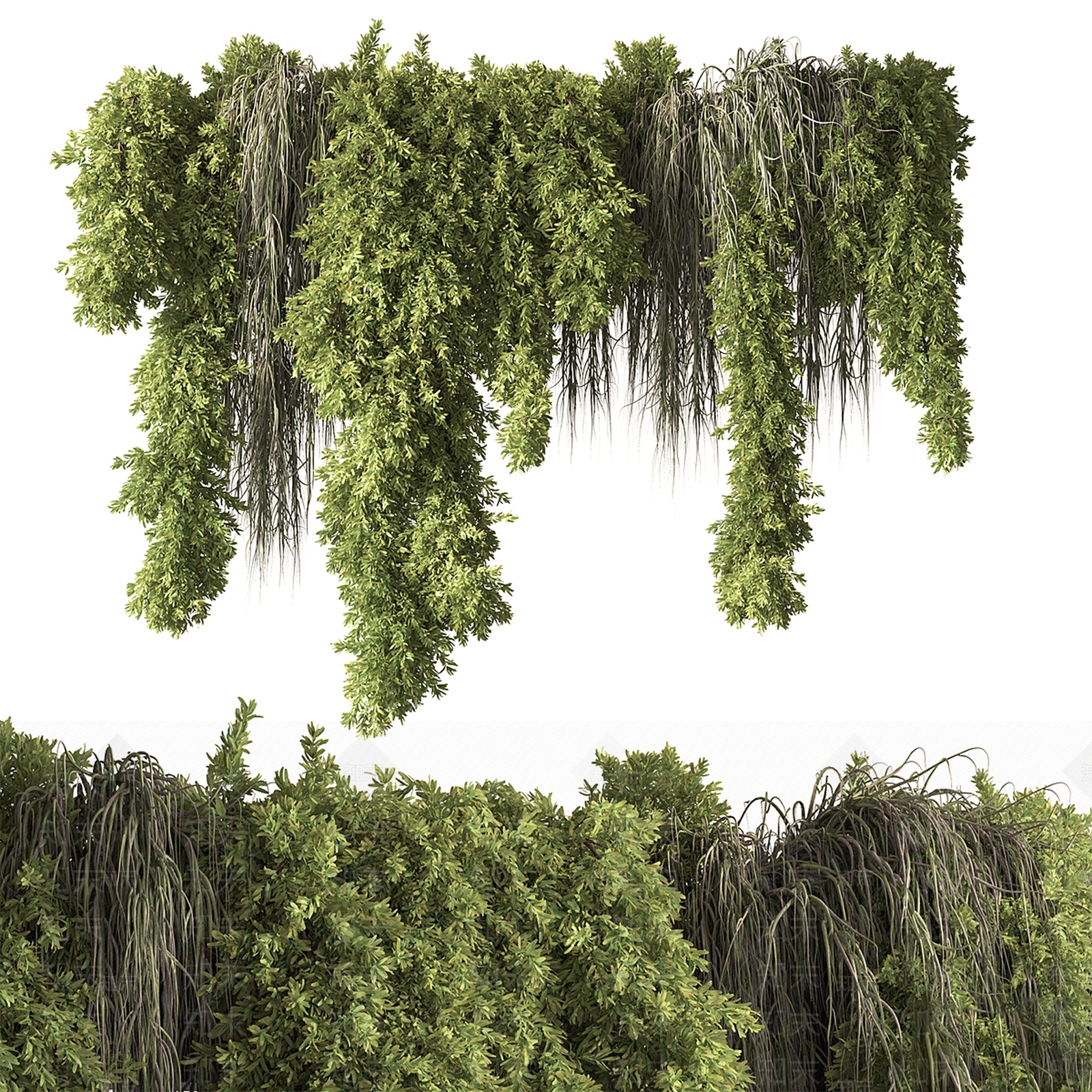 藤蔓3D模型下载【ID:1199919684】