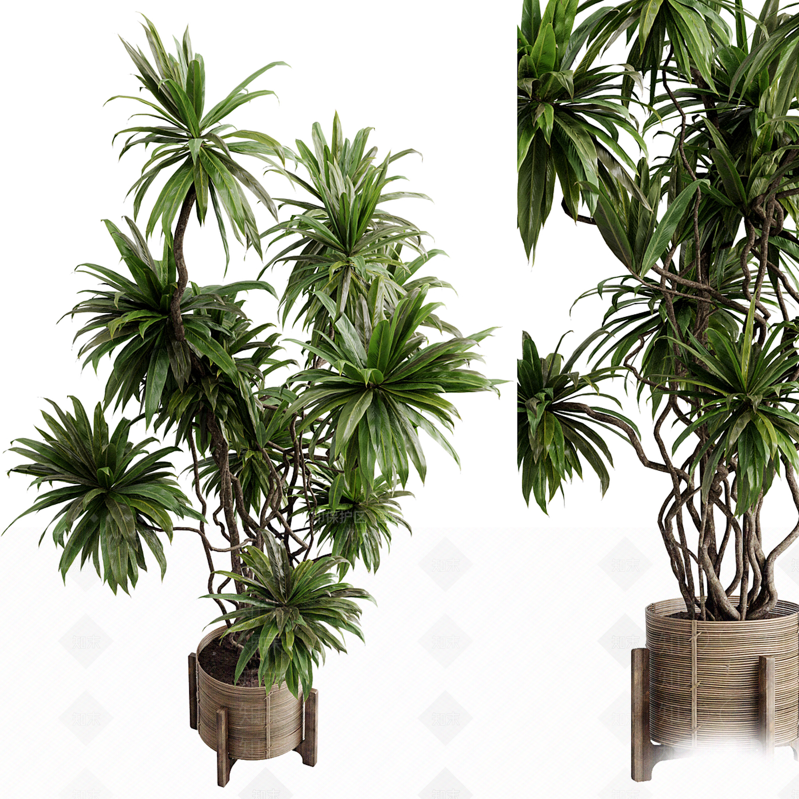 盆栽3D模型下载【ID:1199919715】