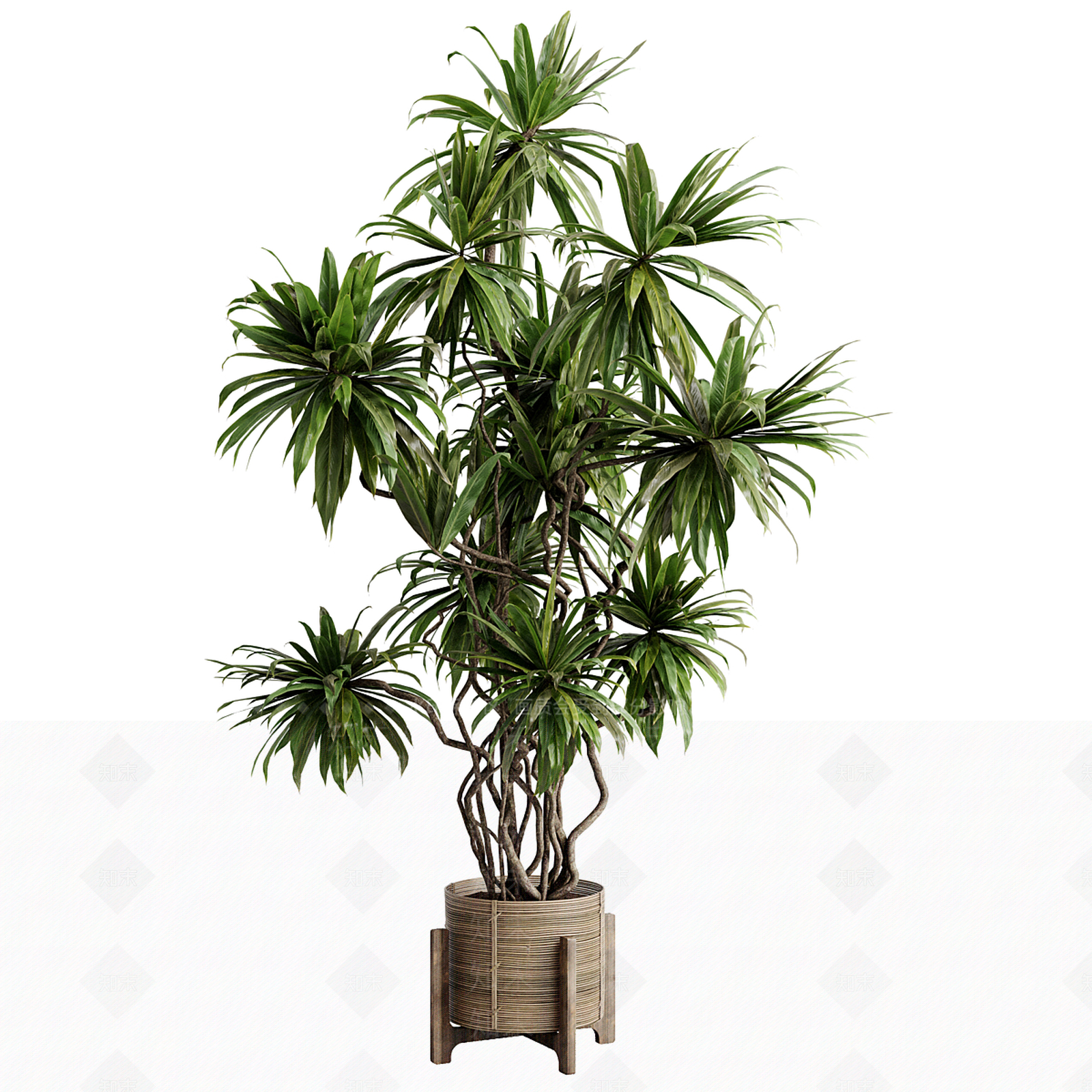 盆栽3D模型下载【ID:1199919715】