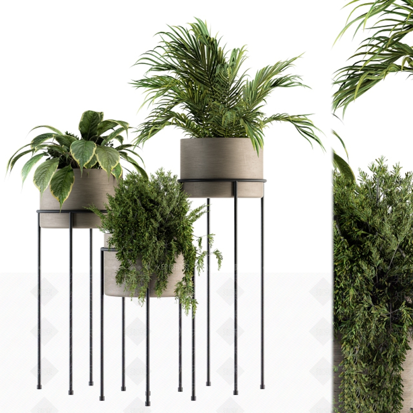 盆栽3D模型下载【ID:1199921086】
