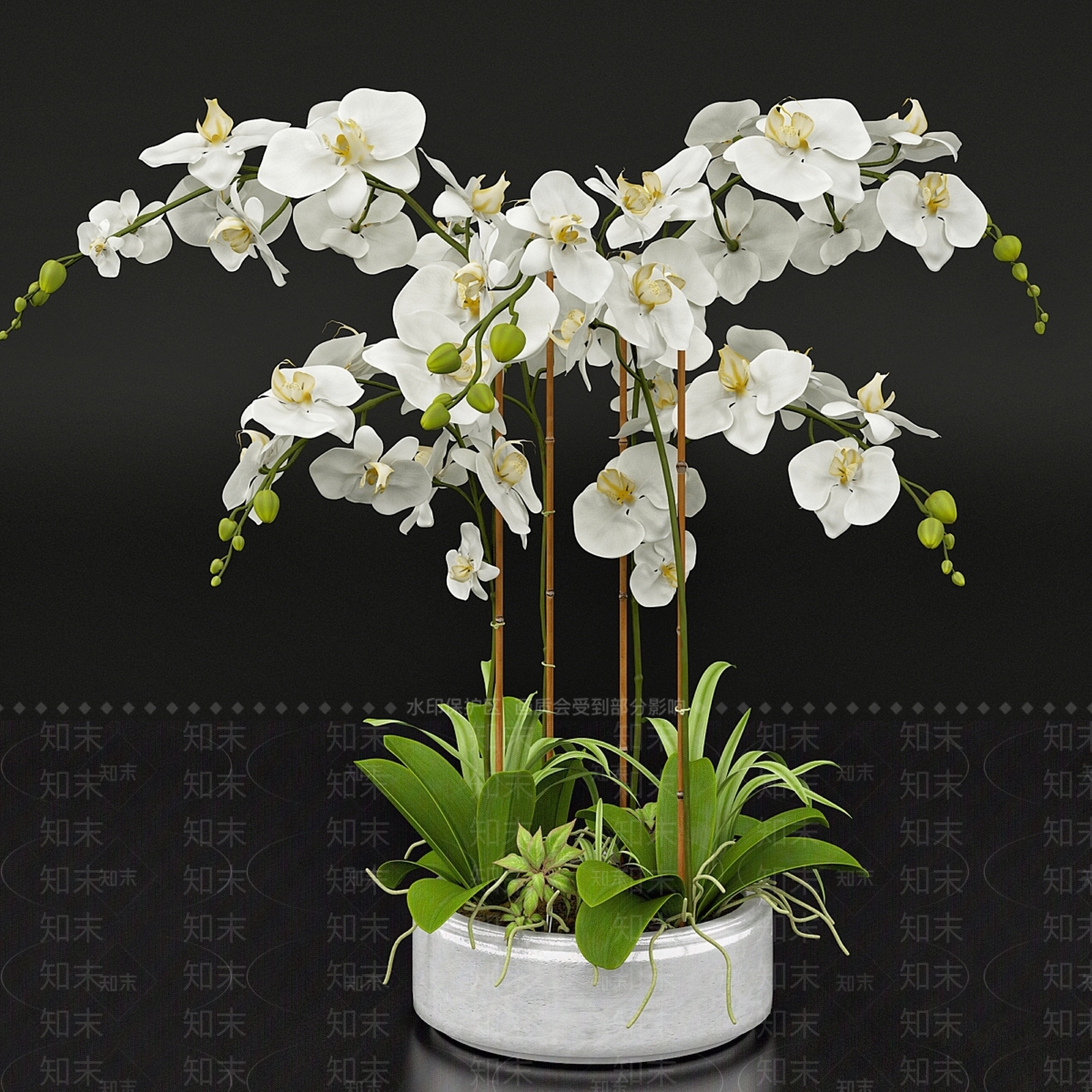 盆栽3D模型下载【ID:1199926117】