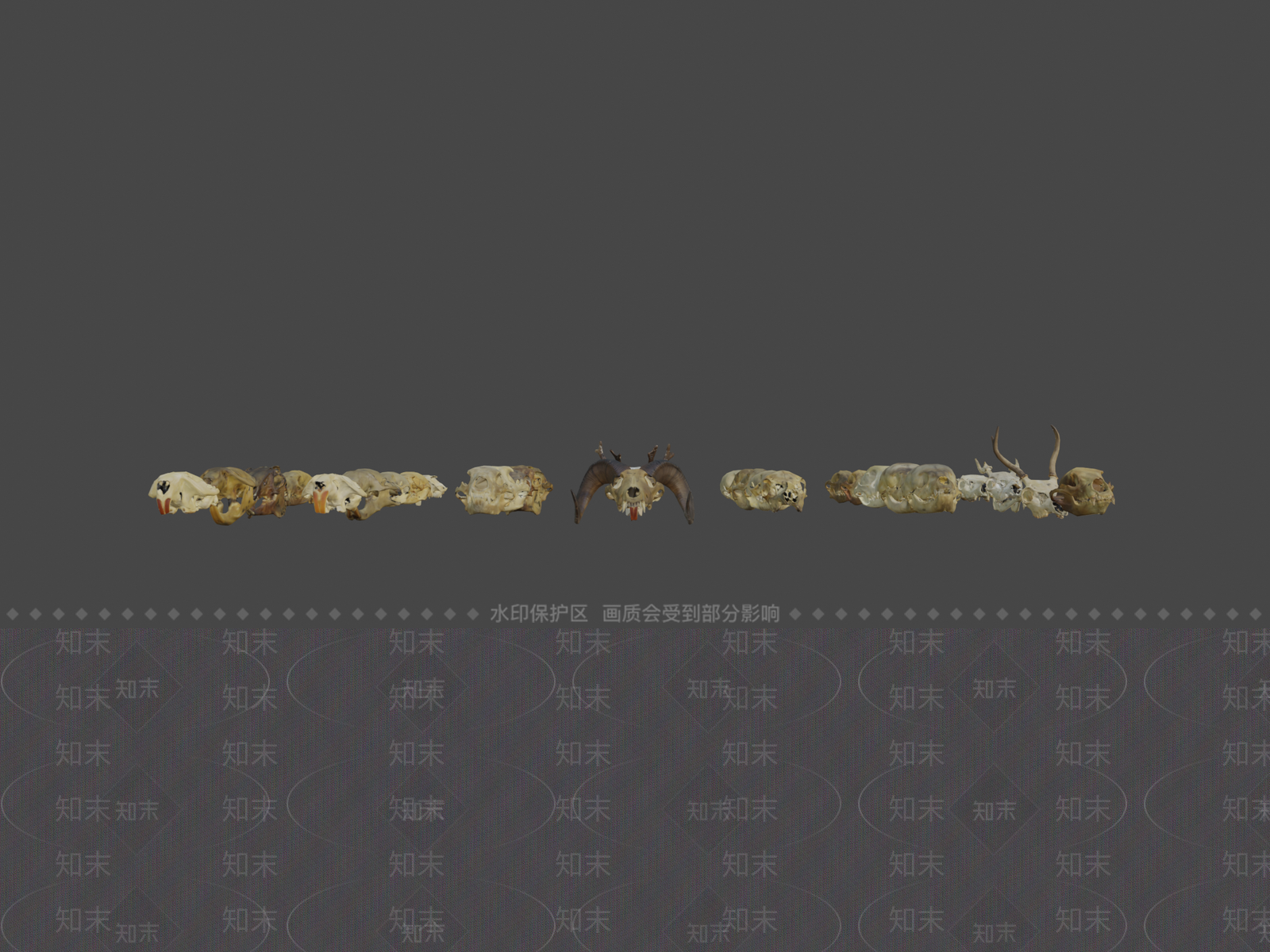 家禽动物SU模型下载【ID:1199951158】