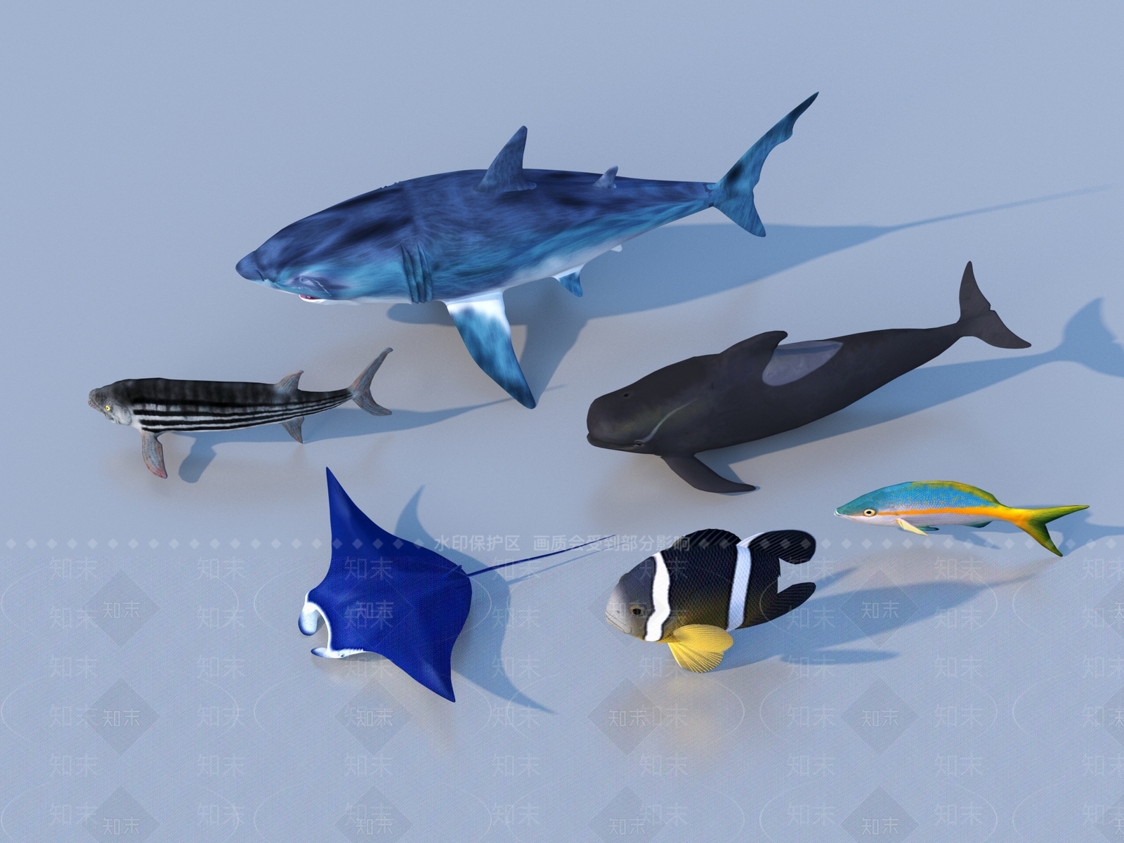 水生类动物3D模型下载【ID:1199965613】