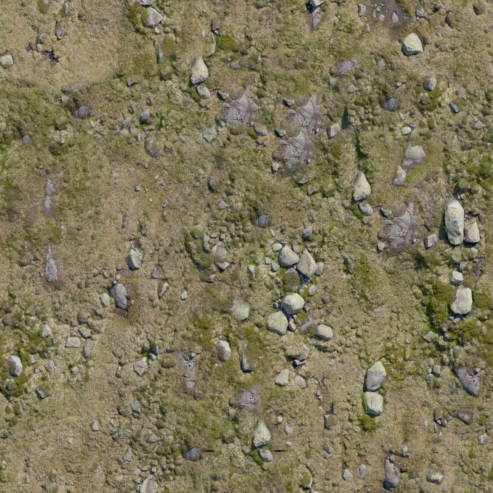 现代自然地面贴图下载【ID:1200014323】