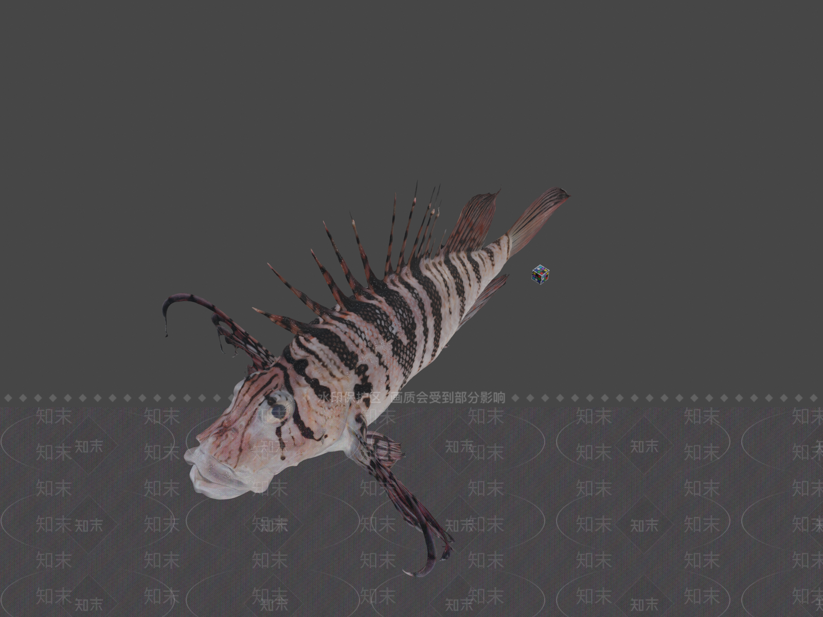 家禽动物SU模型下载【ID:1200023318】