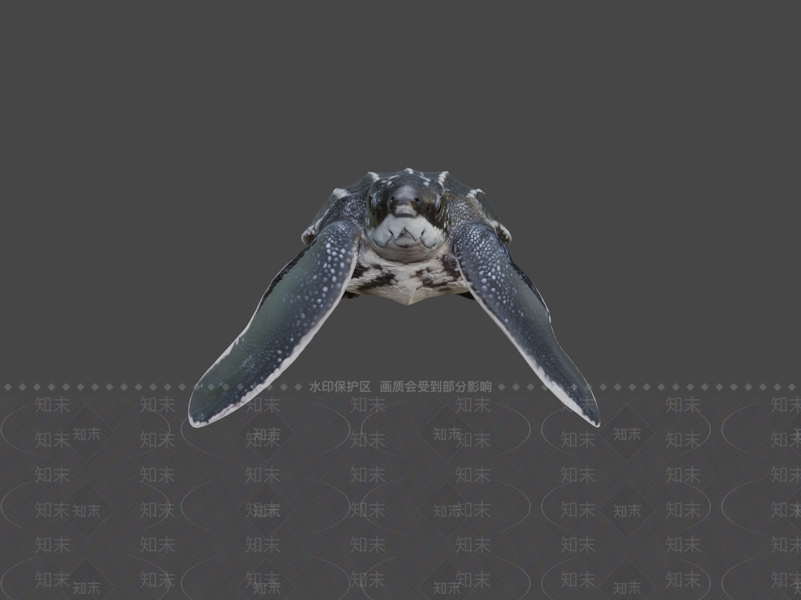家禽动物SU模型下载【ID:1200078748】