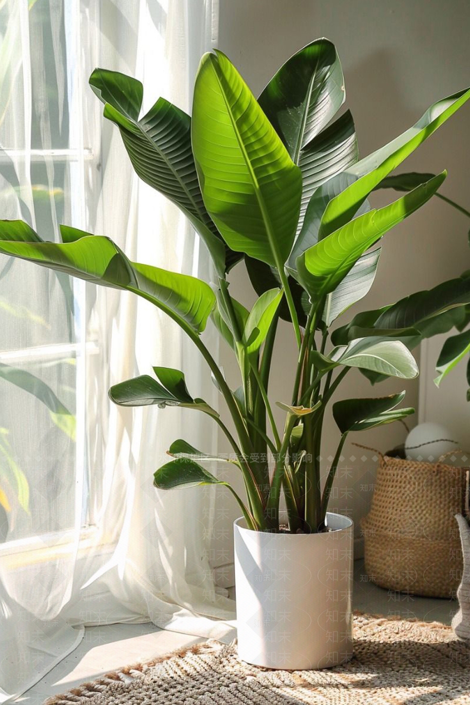 盆栽3D模型下载【ID:1200098037】