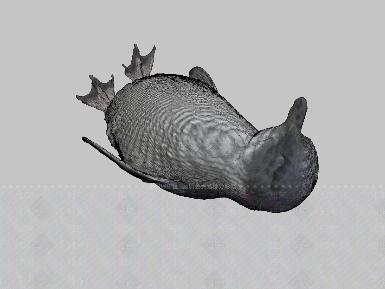 家禽动物SU模型下载【ID:1200100036】