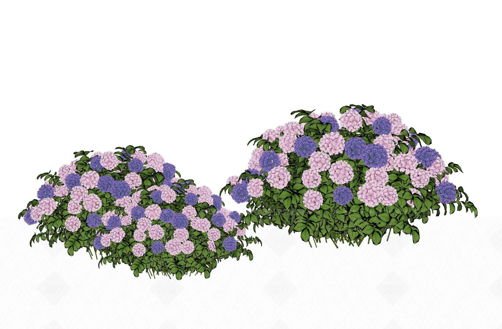 花草SU模型下载【ID:1200100808】