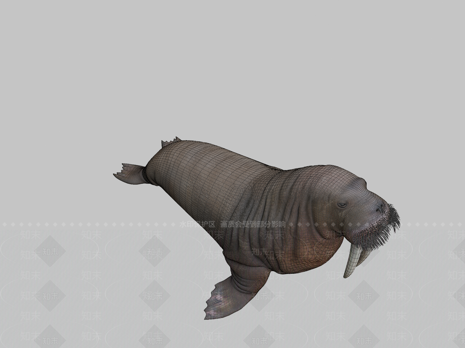 家禽动物SU模型下载【ID:1200105416】