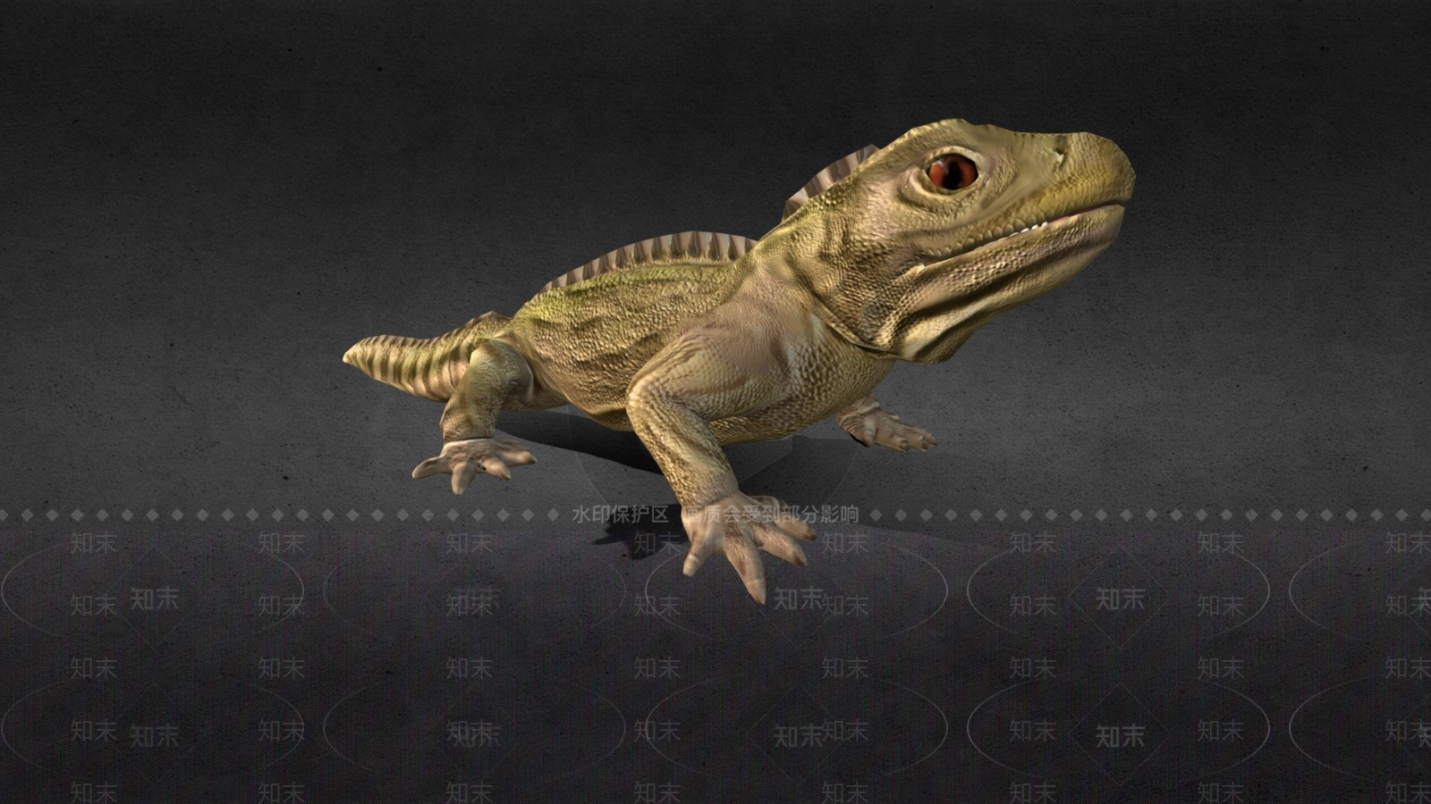 家禽动物SU模型下载【ID:1200109337】