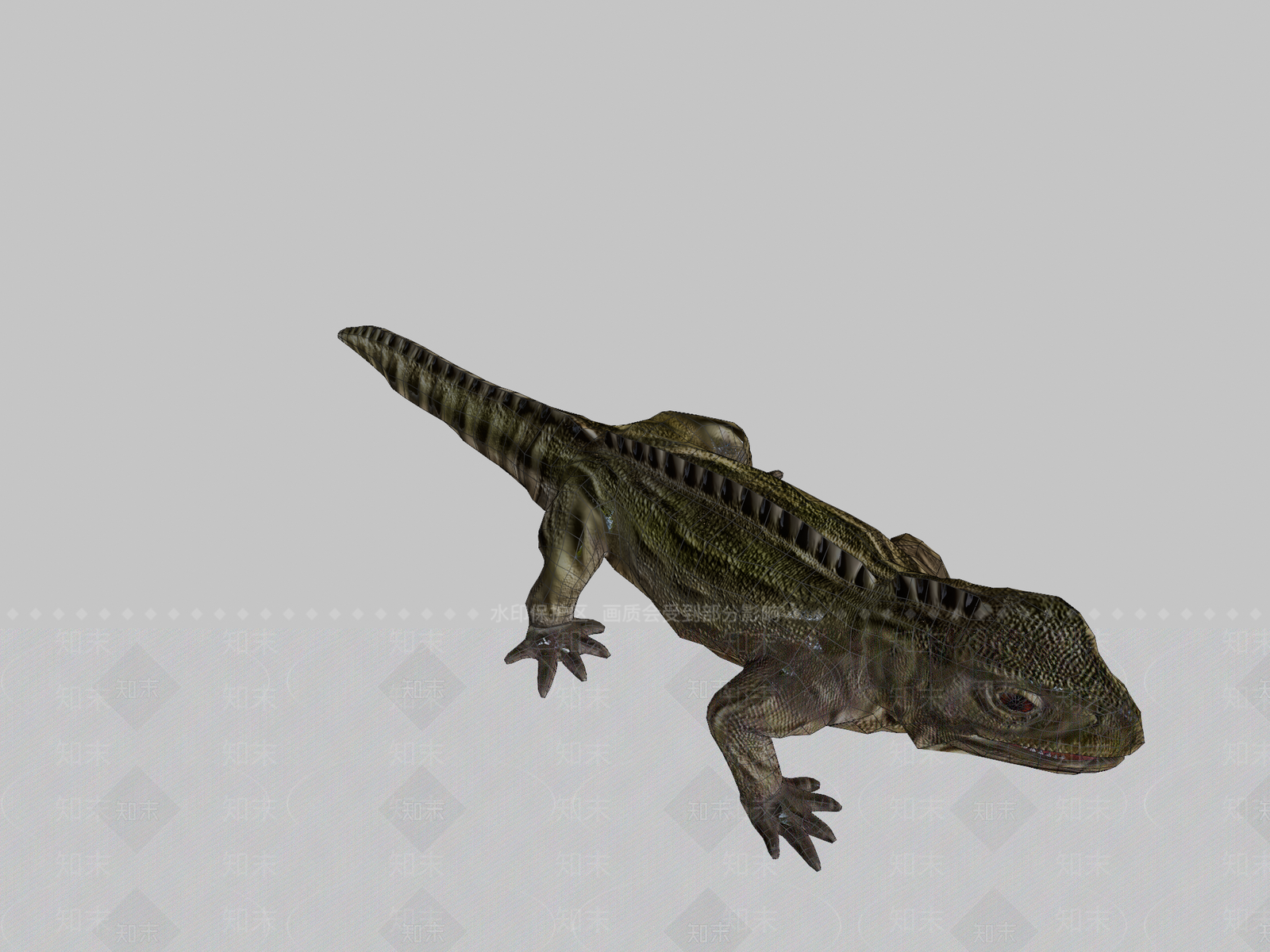 家禽动物SU模型下载【ID:1200109337】