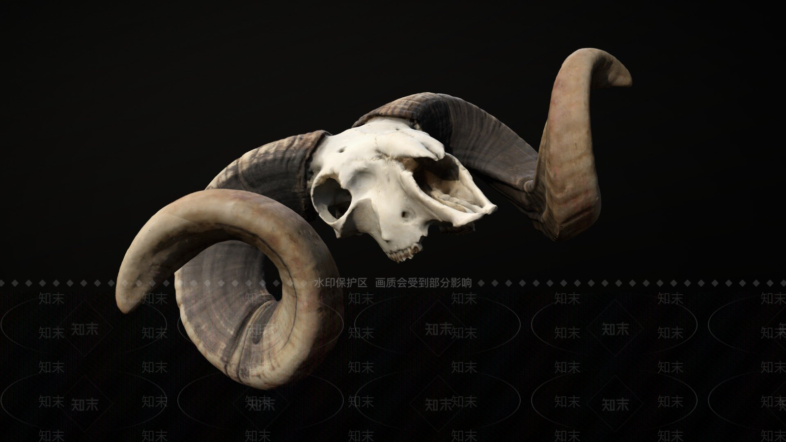 家禽动物SU模型下载【ID:1200111376】