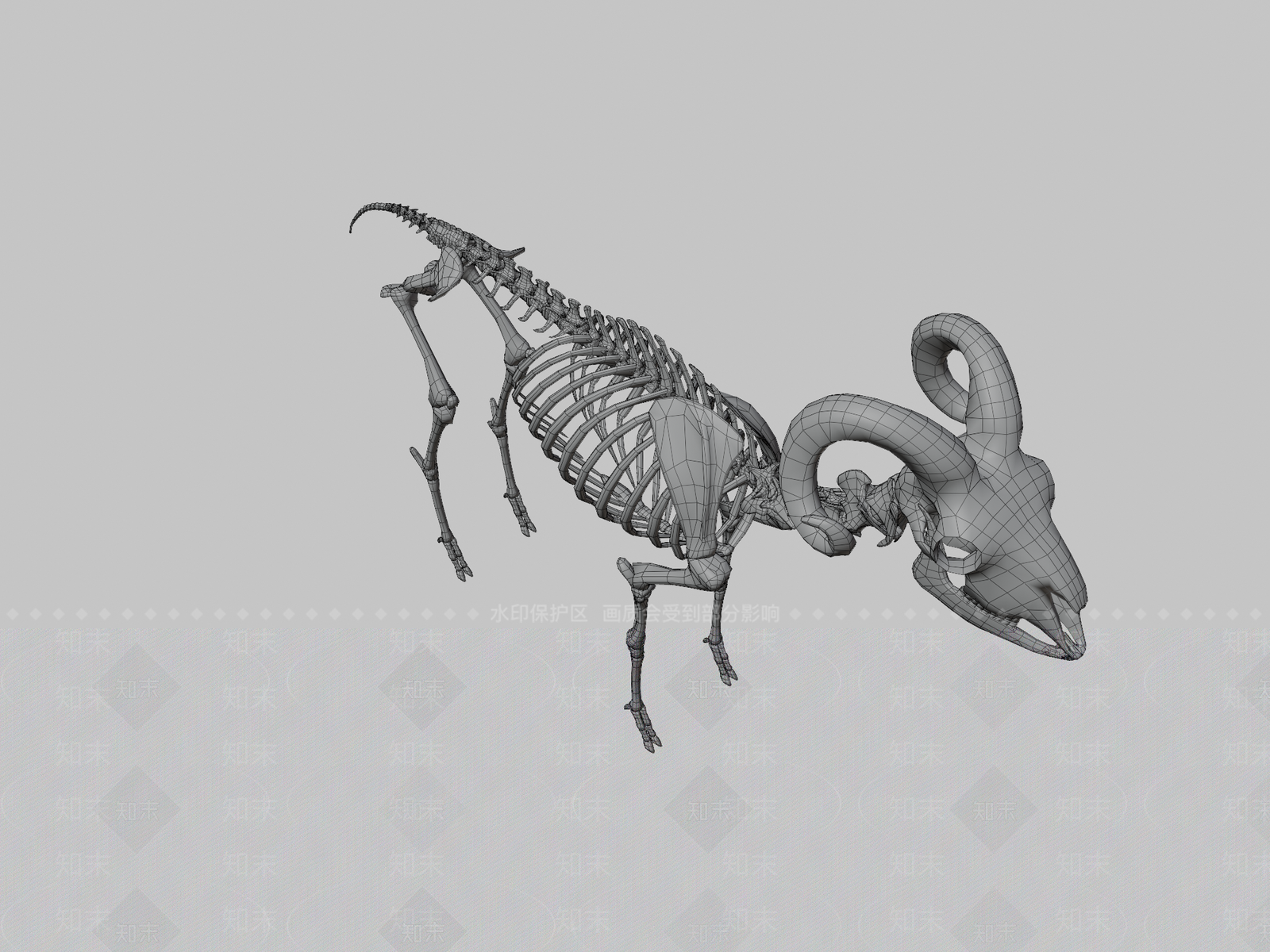 家禽动物SU模型下载【ID:1200113537】