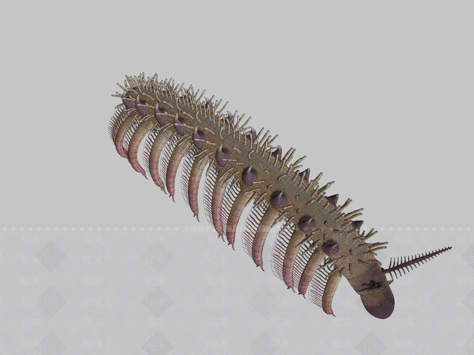 家禽动物SU模型下载【ID:1200116139】
