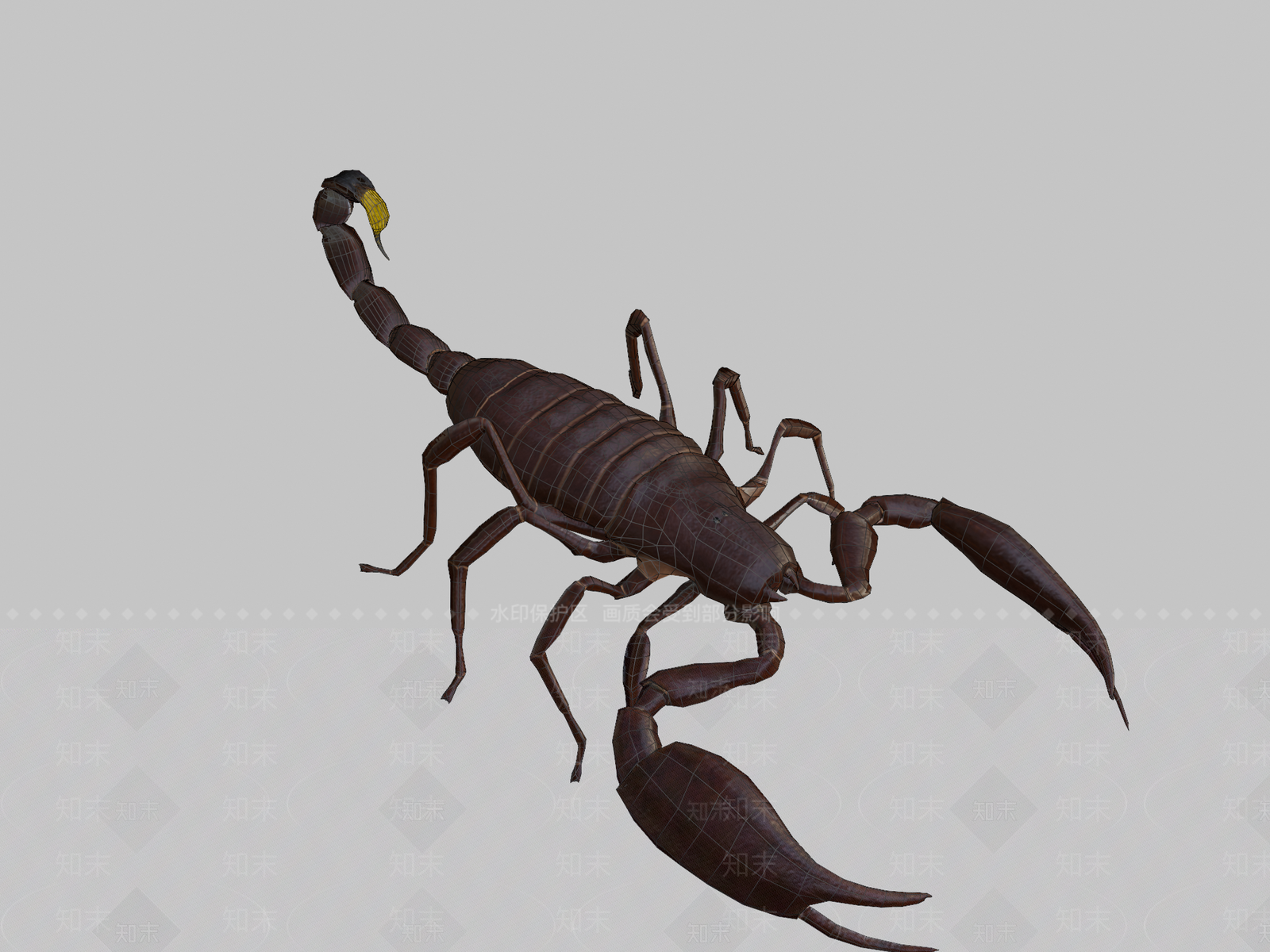 家禽动物SU模型下载【ID:1200122486】