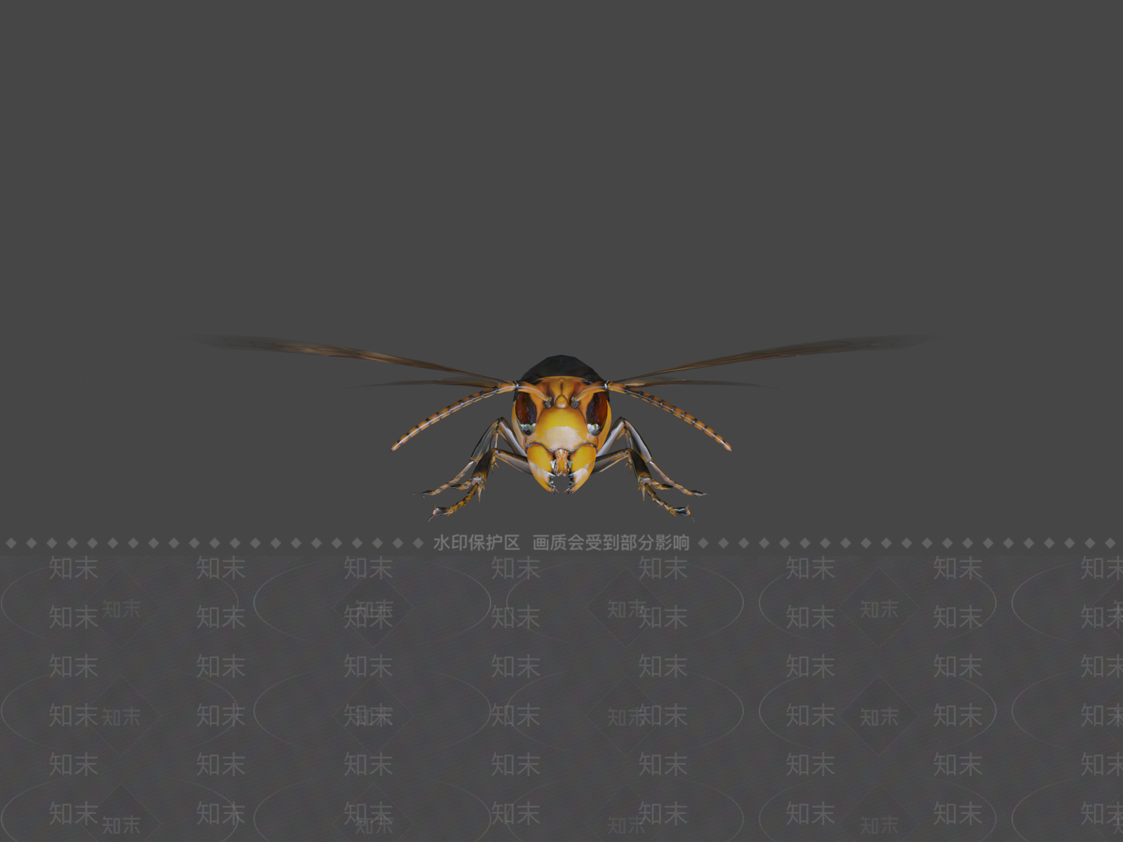 家禽动物SU模型下载【ID:1200133761】