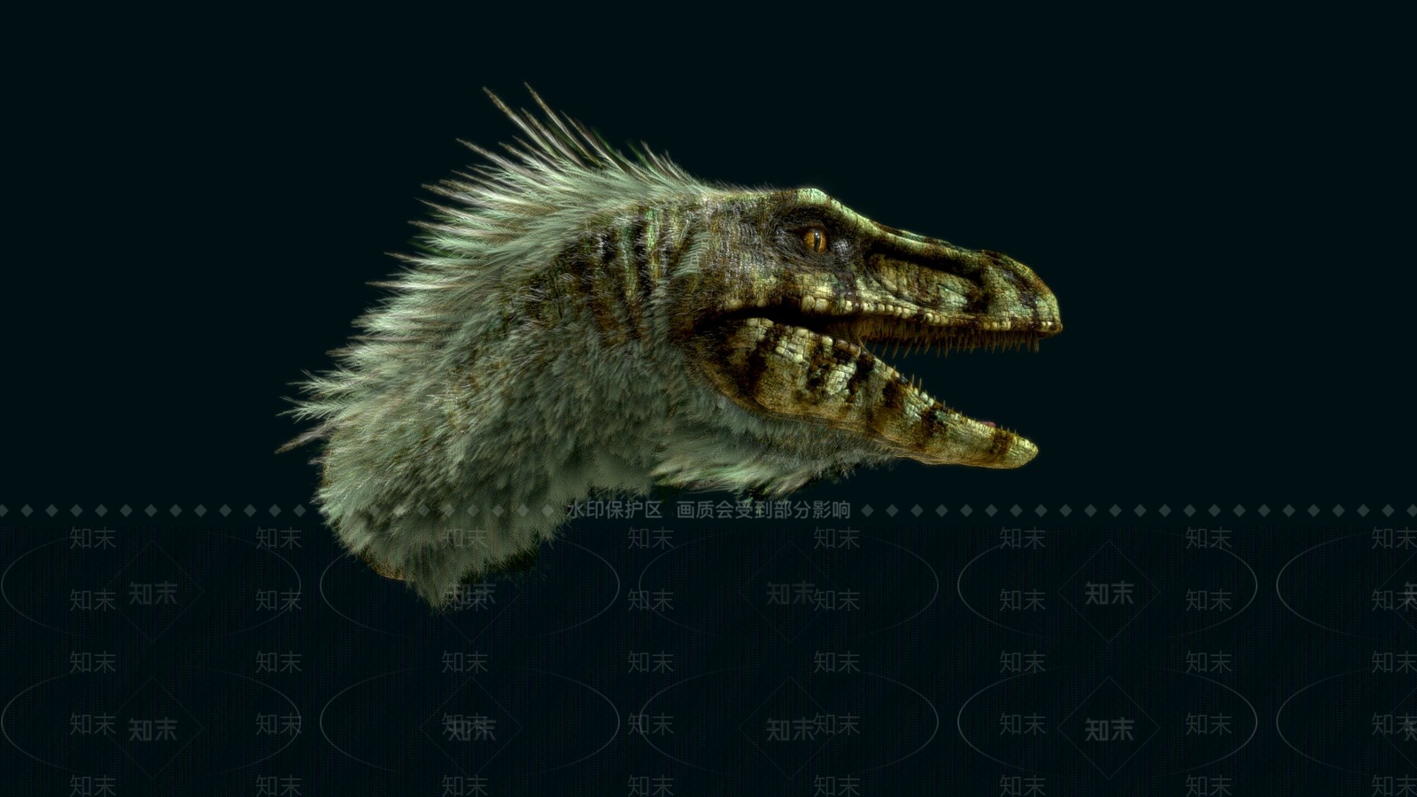 家禽动物SU模型下载【ID:1200133932】