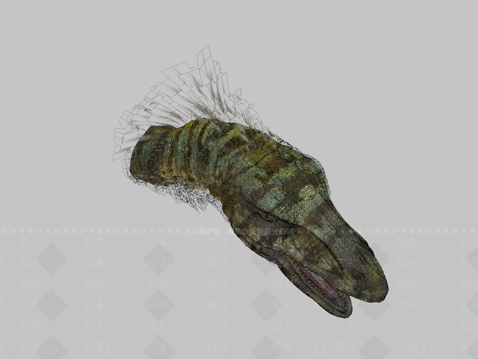 家禽动物SU模型下载【ID:1200133932】