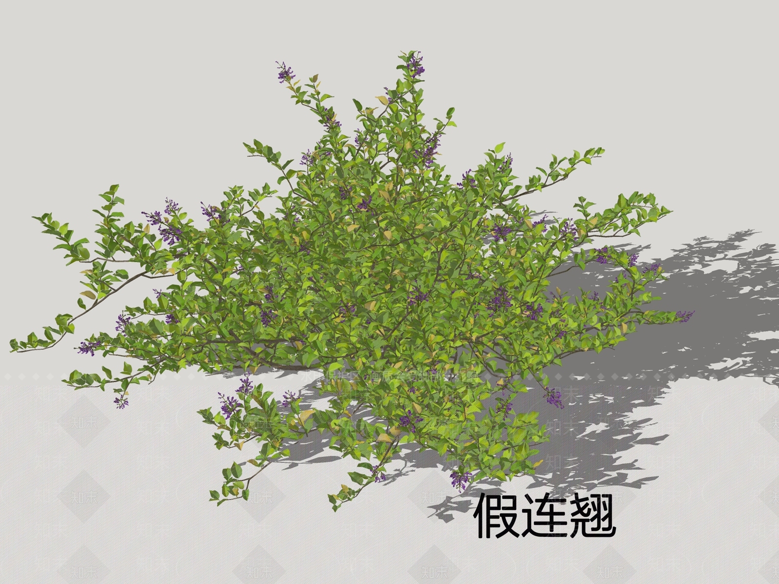灌木SU模型下载【ID:1200142990】