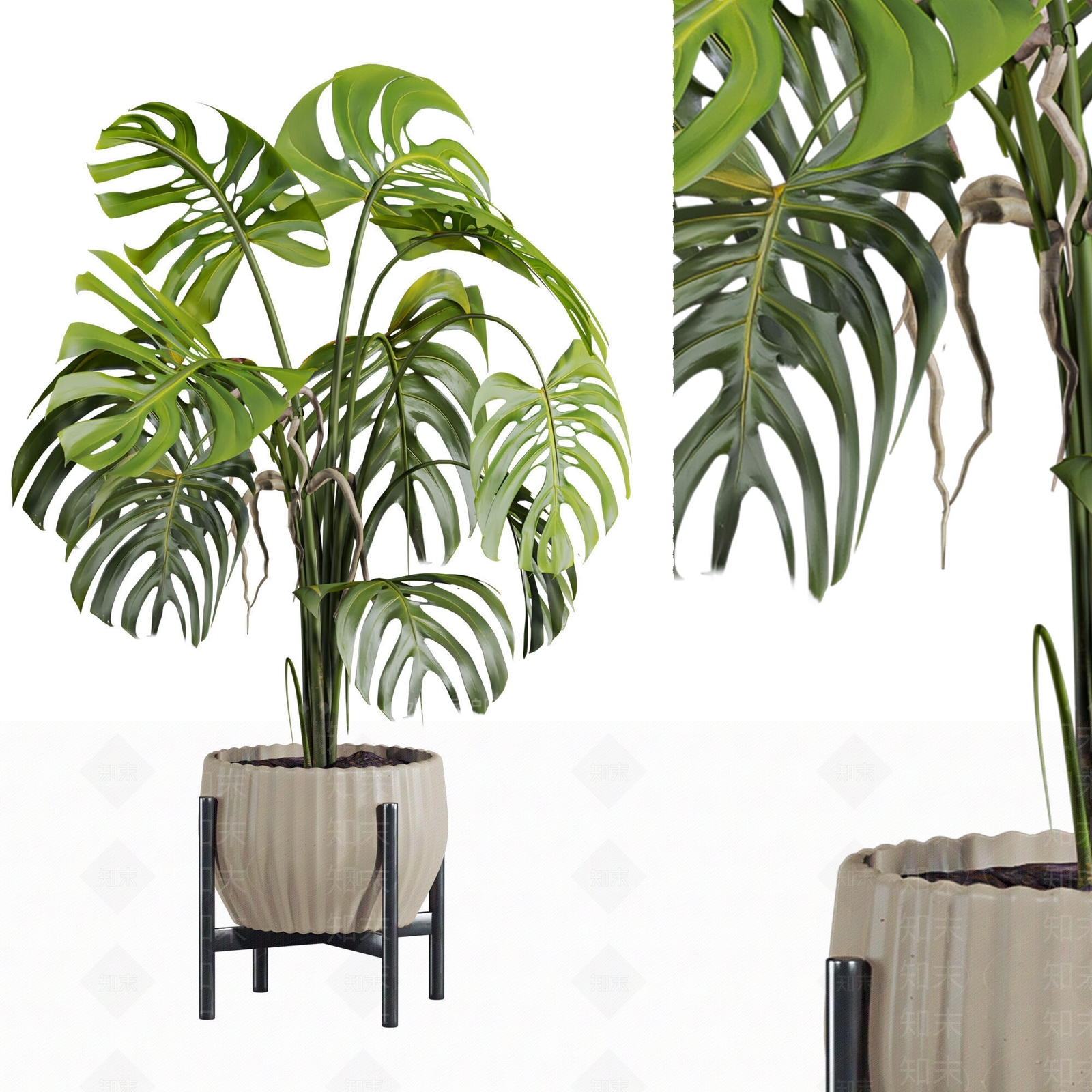 现代盆栽3D模型下载【ID:1200143388】