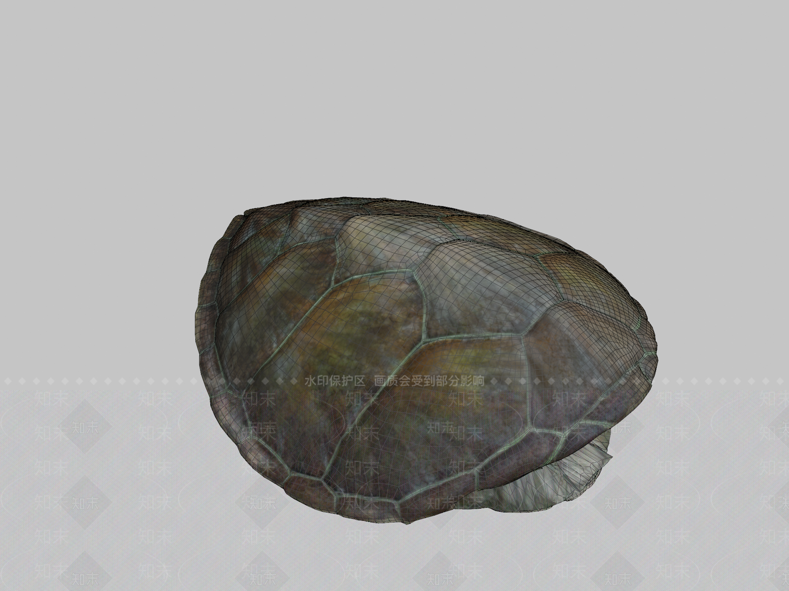 家禽动物SU模型下载【ID:1200147338】