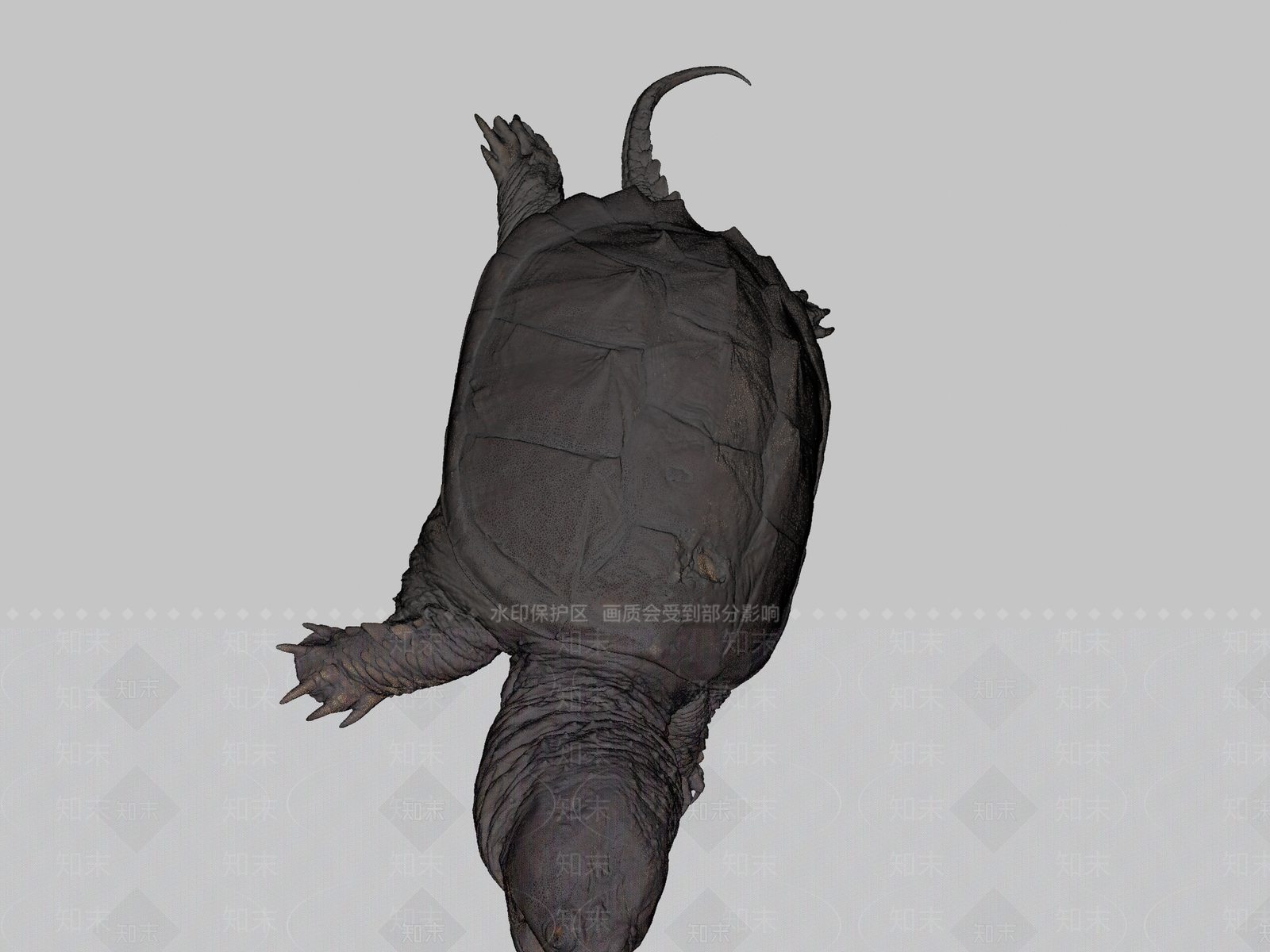 家禽动物SU模型下载【ID:1200148333】