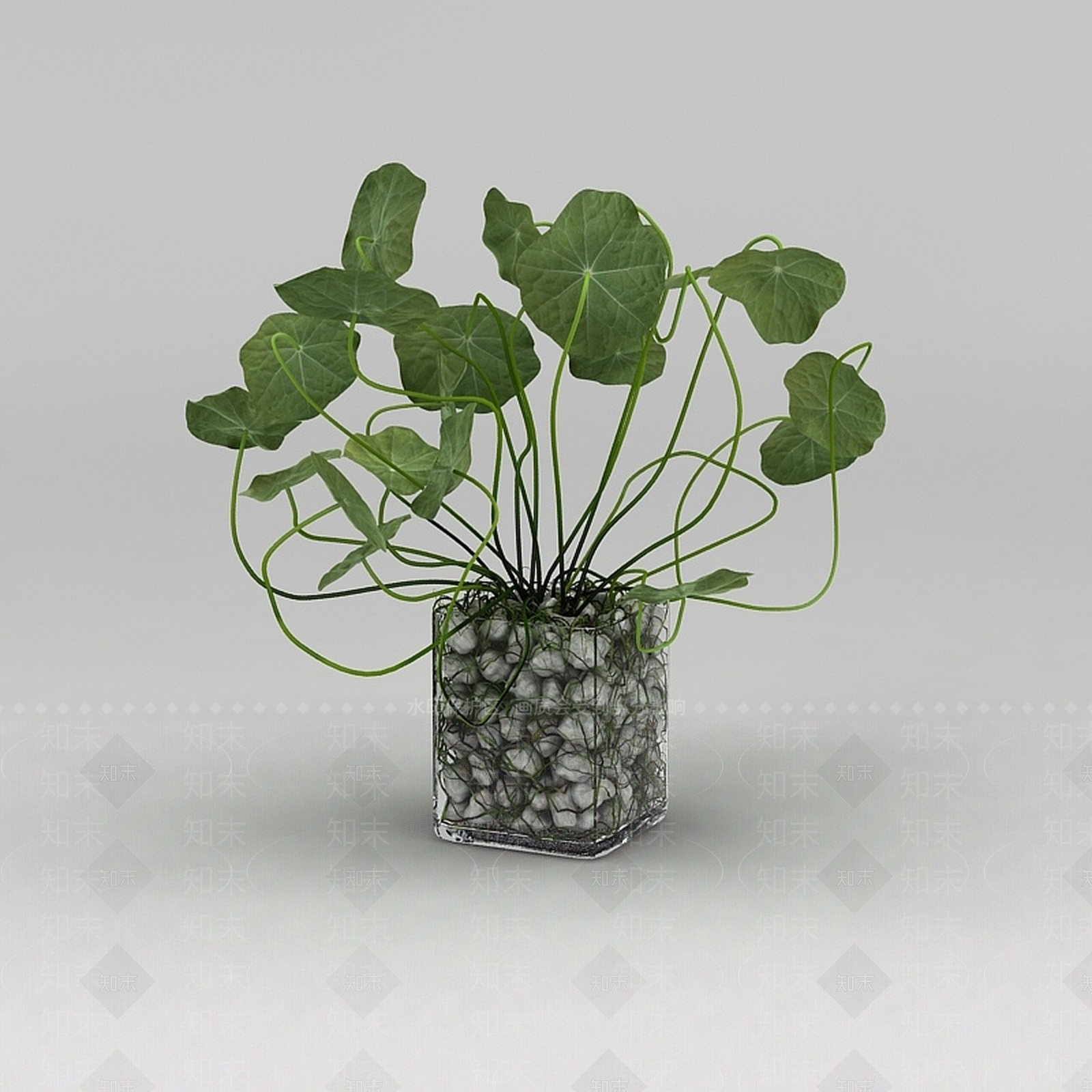 现代花草绿植盆栽3D模型下载【ID:1200171481】