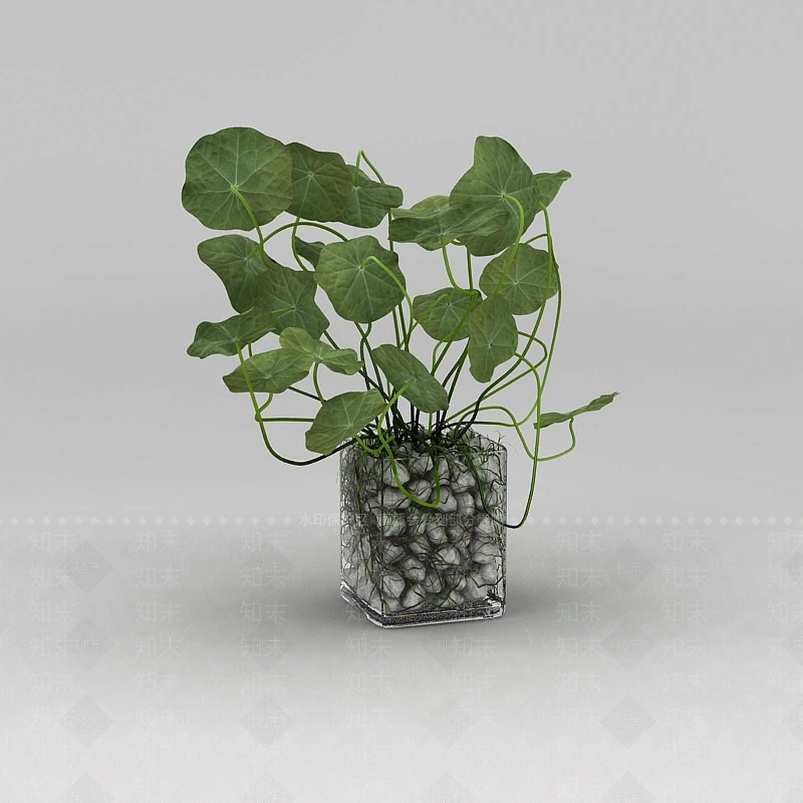 现代花草绿植盆栽3D模型下载【ID:1200171481】