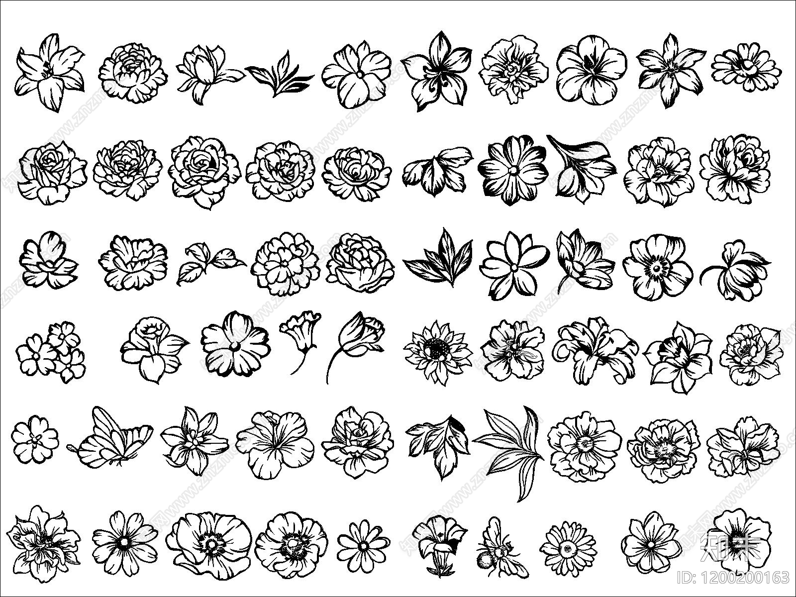 现代花CAD图纸