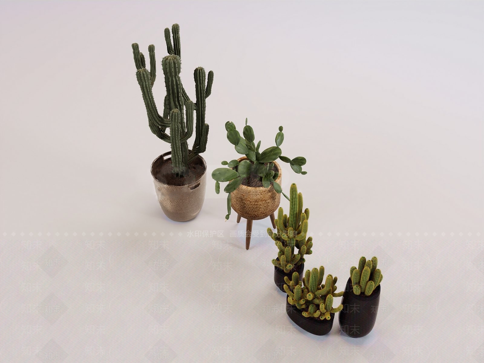 现代北欧沙漠植物3D模型下载【ID:1200247943】