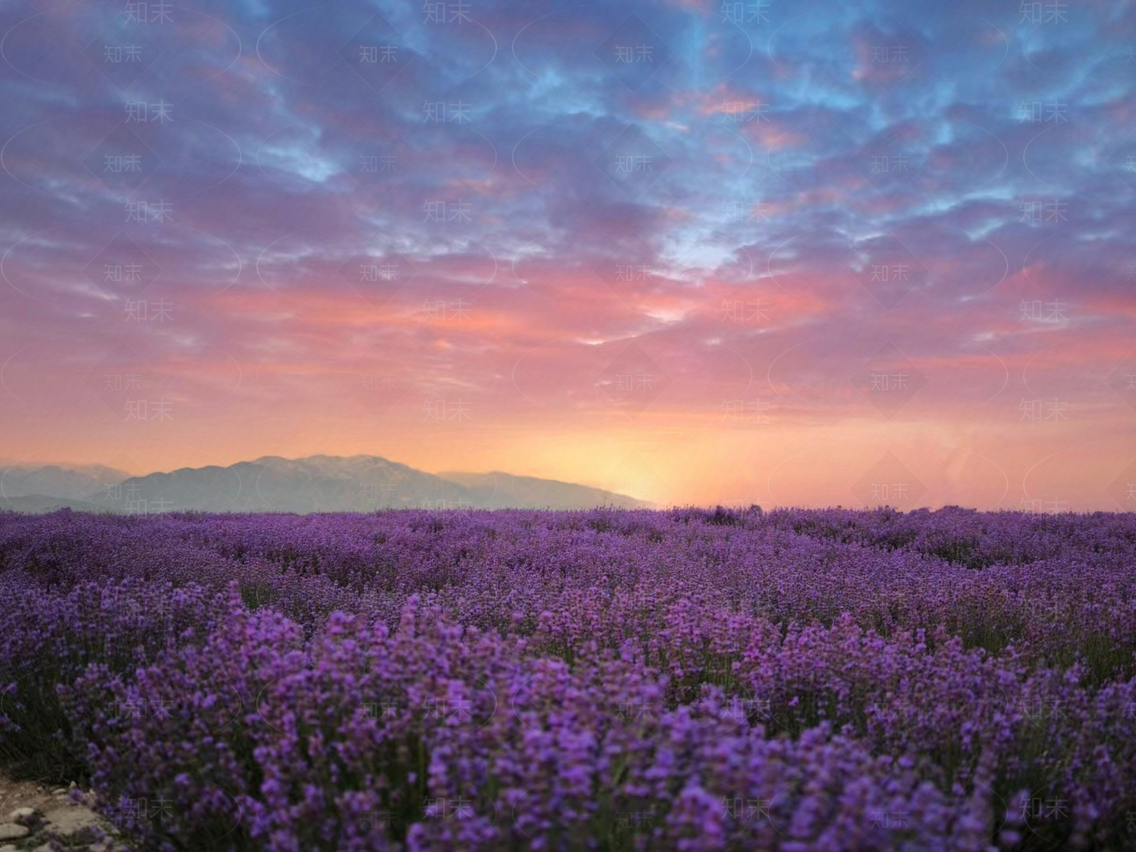 工业其他风景贴图下载【ID:1200280132】