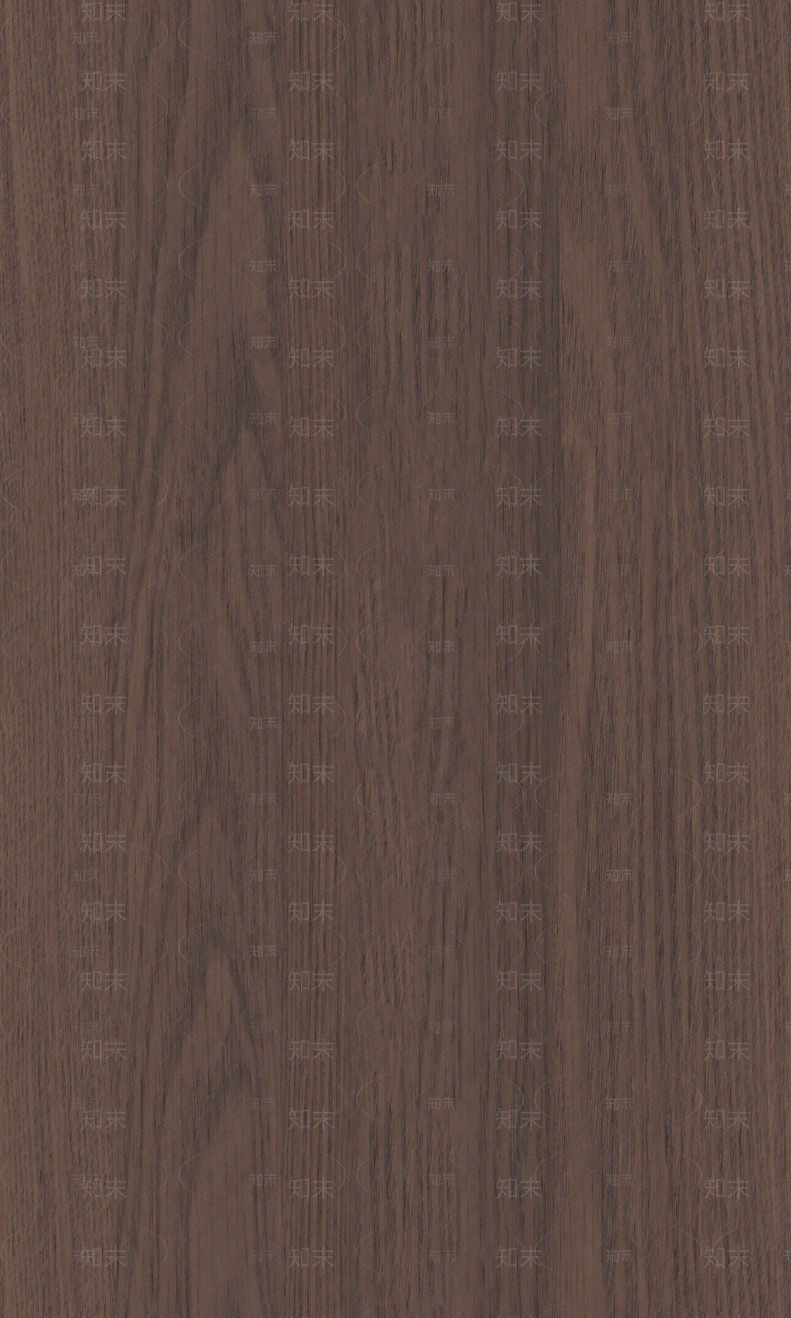 中古侘寂橡木贴图下载【ID:1200314809】