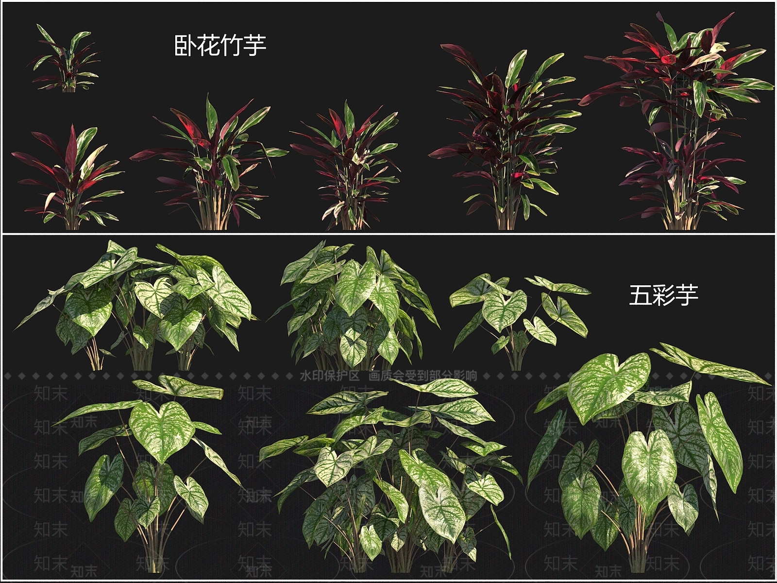 花草组合3D模型下载【ID:1200316667】