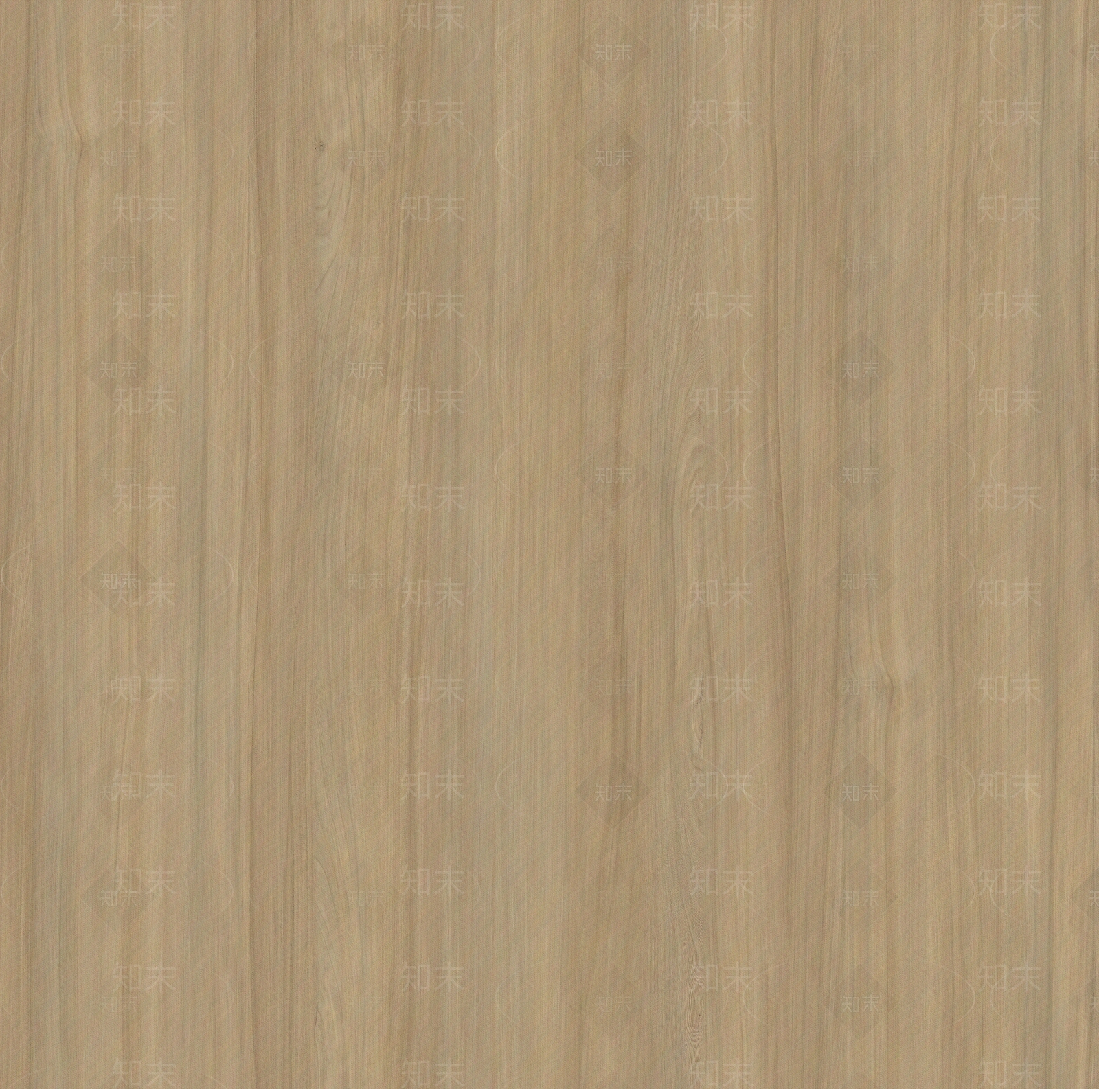 奶油原木浅色木材贴图下载【ID:1200321516】