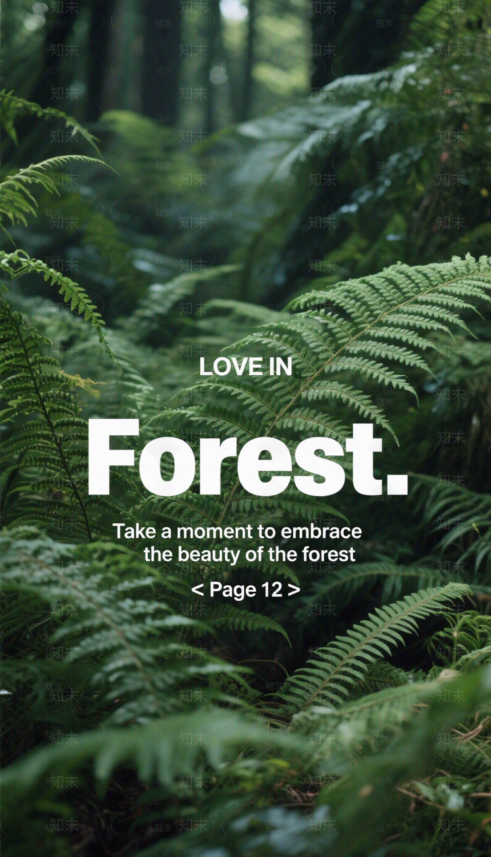 现代新中式餐饮广告贴图下载【ID:1200329282】