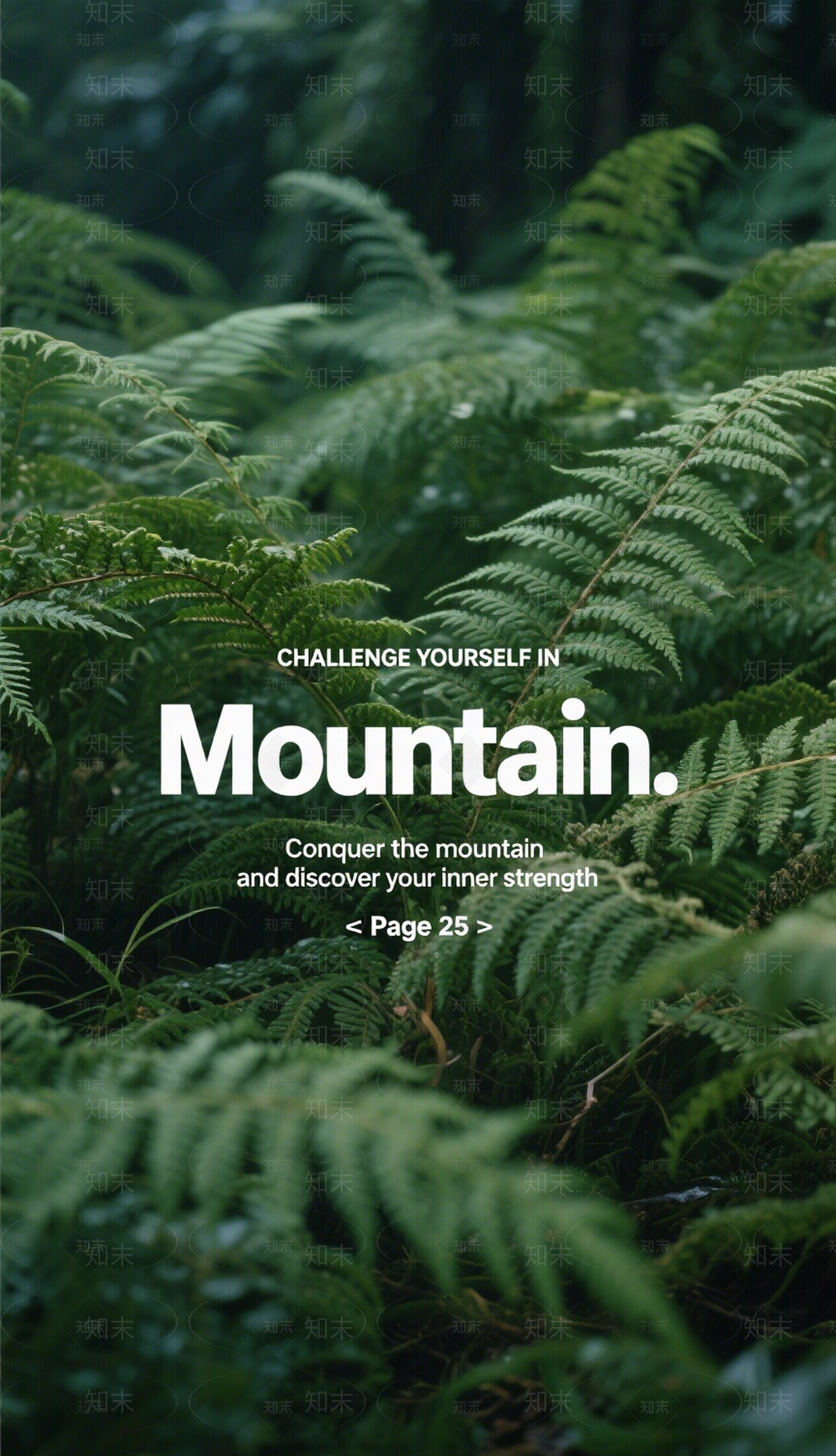 现代新中式植被贴图下载【ID:1200329295】