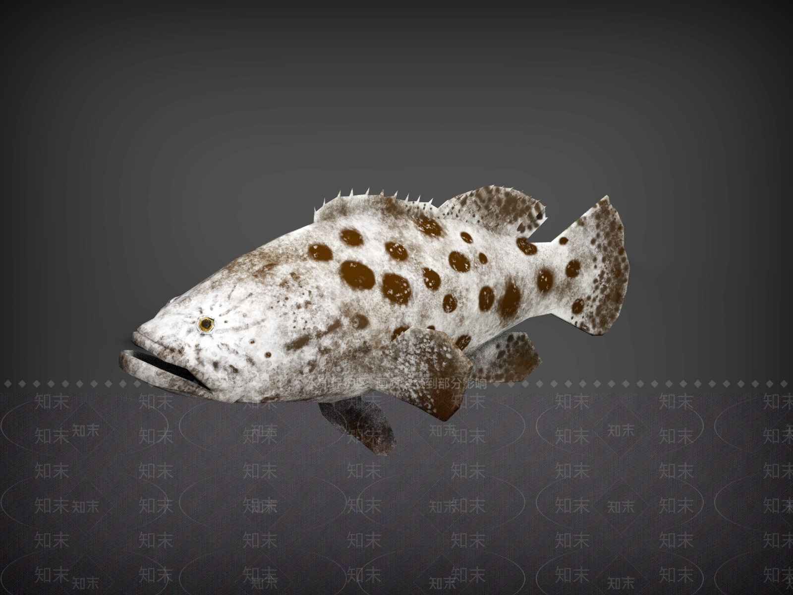 水生类动物3D模型下载【ID:1200391487】