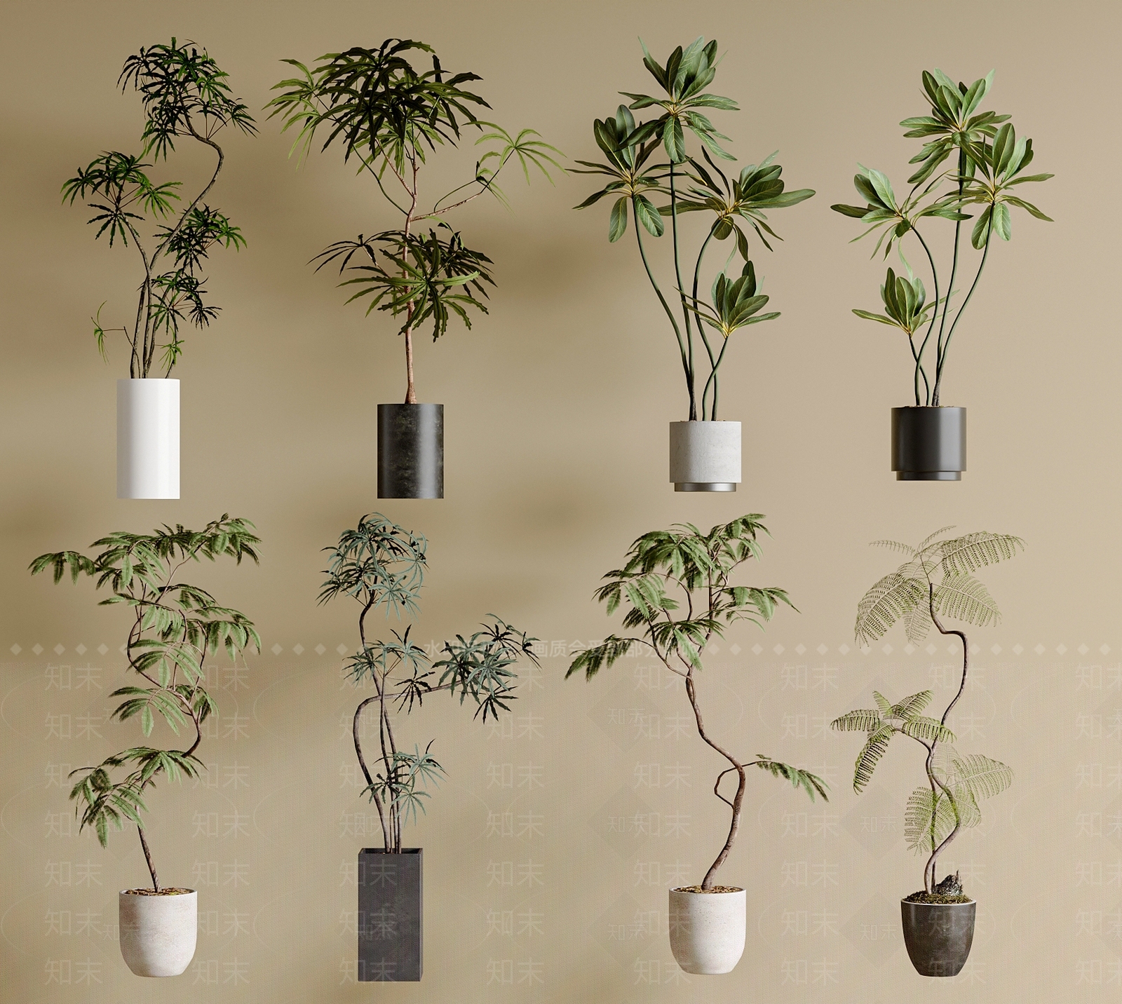 盆栽3D模型下载【ID:1200404278】