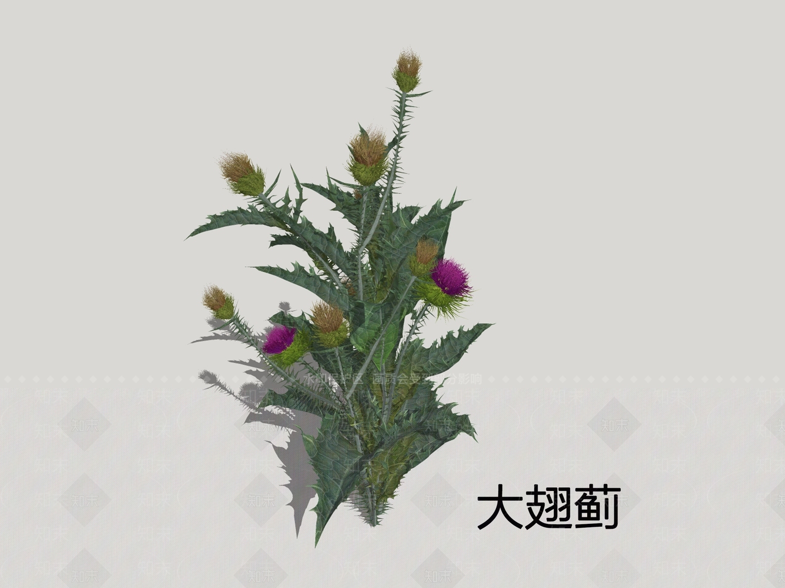 花草SU模型下载【ID:1200408925】