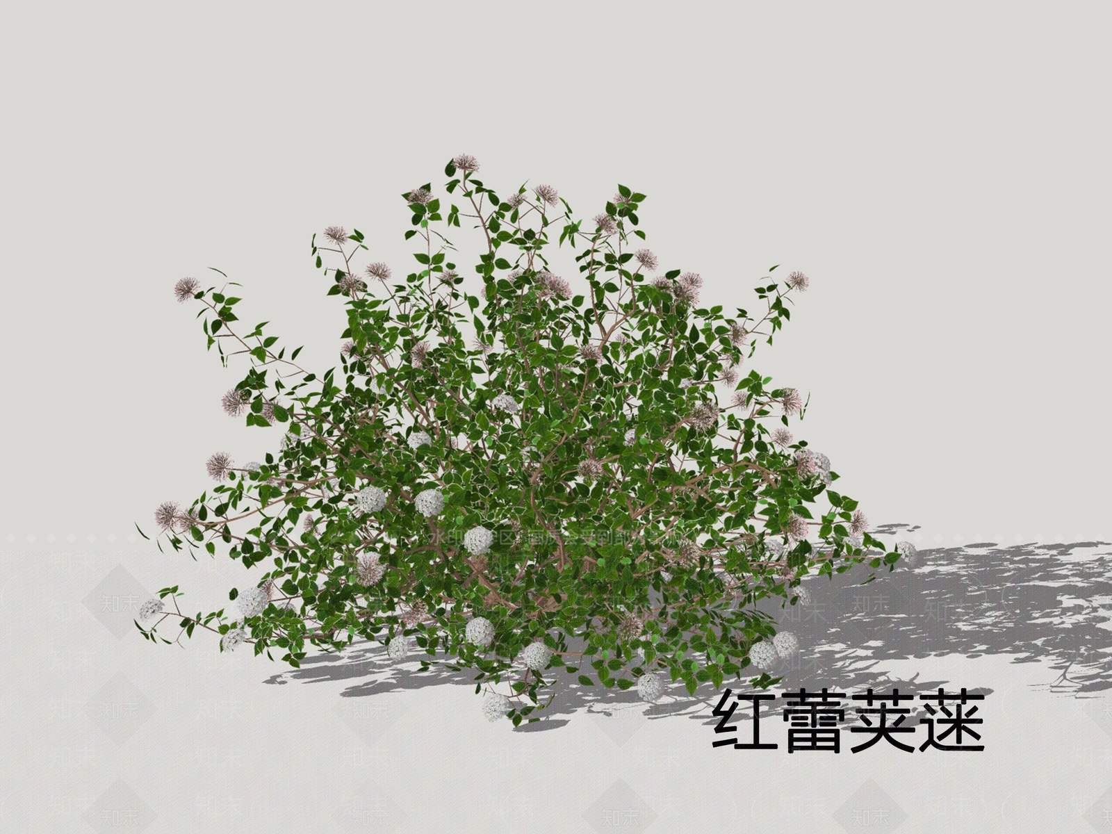 灌木SU模型下载【ID:1200409260】